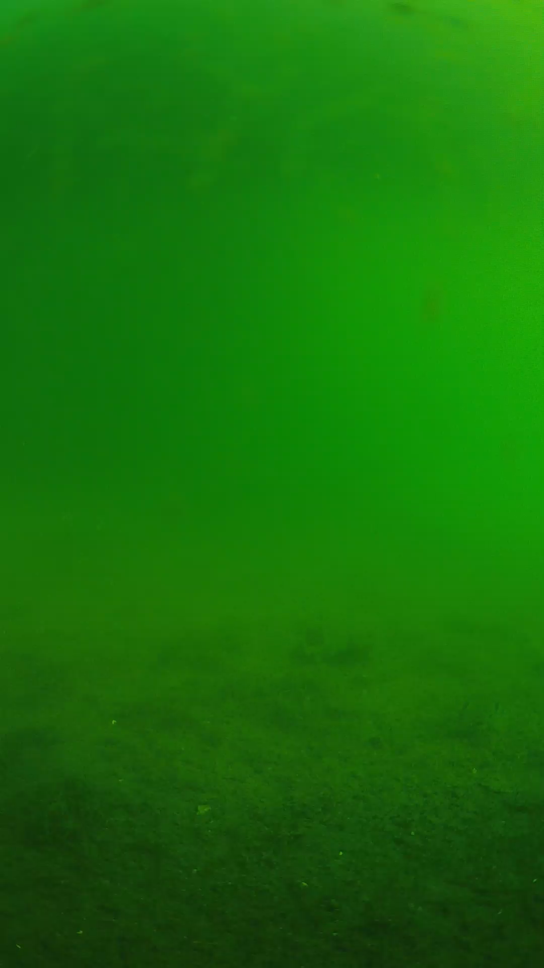 lander_ipcam_20240621073558.png
