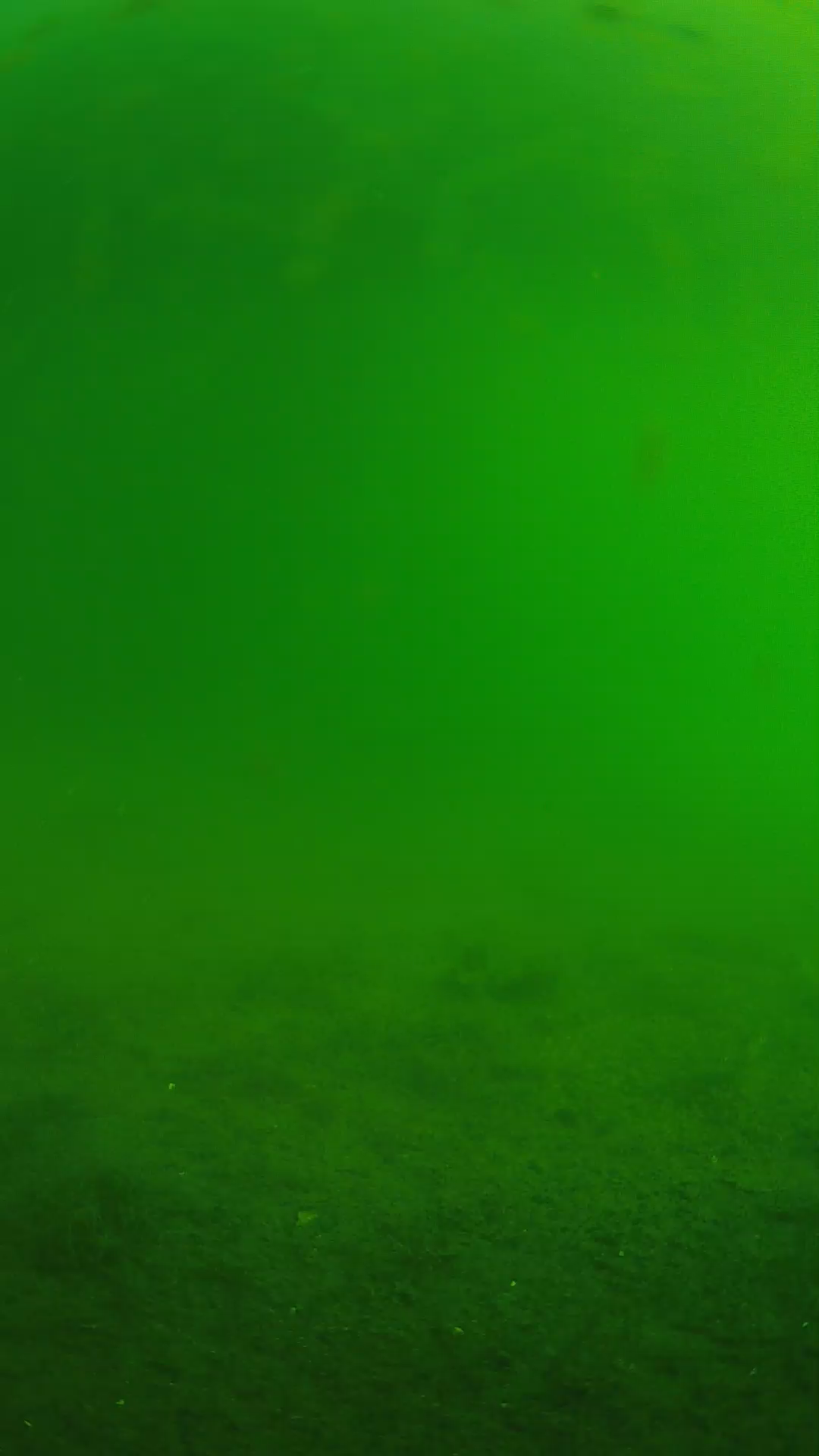 lander_ipcam_20240621073600.png