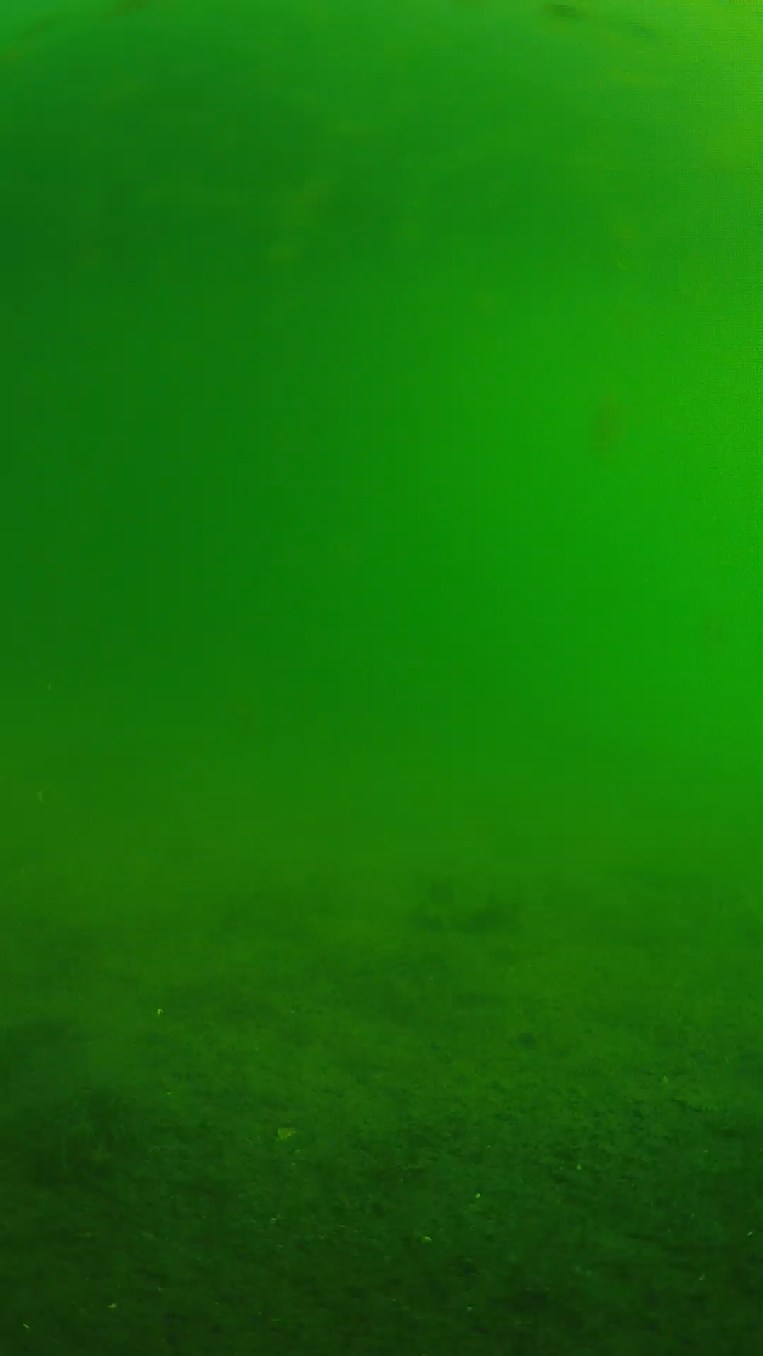 lander_ipcam_20240621073605.png