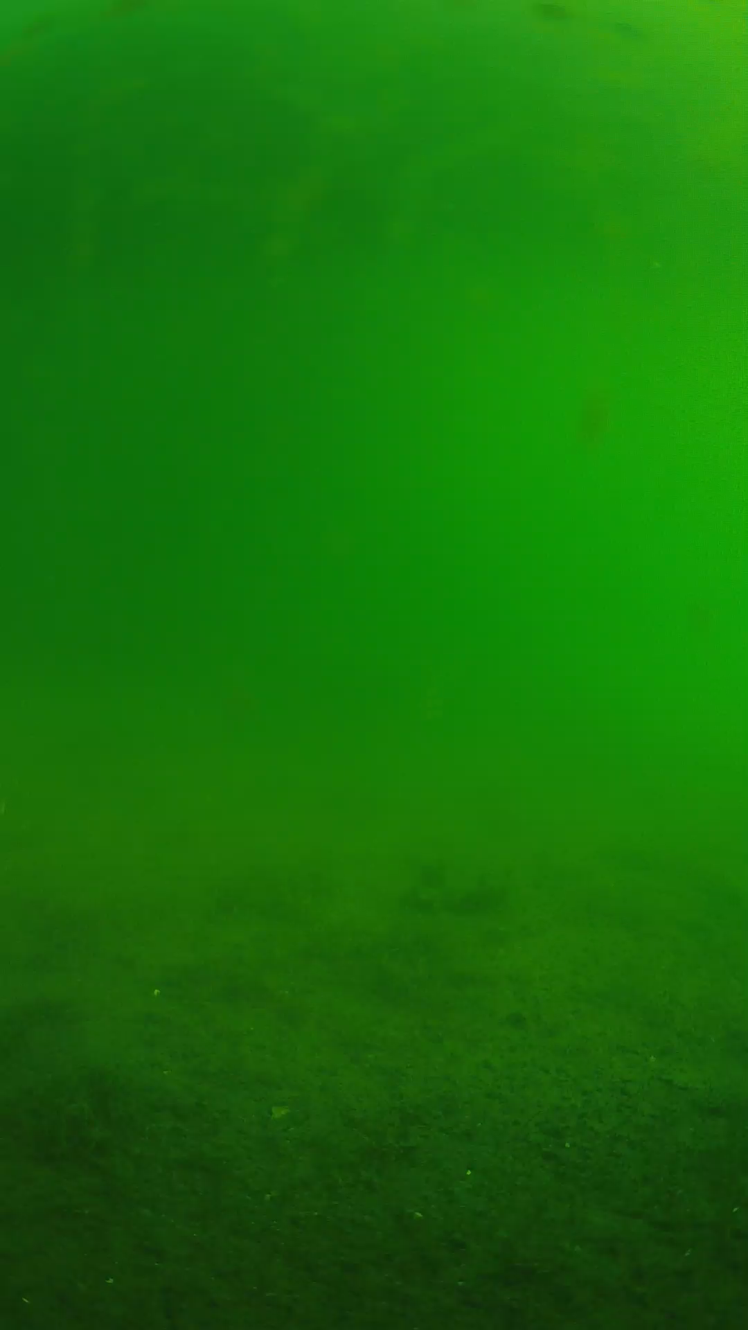 lander_ipcam_20240621073608.png