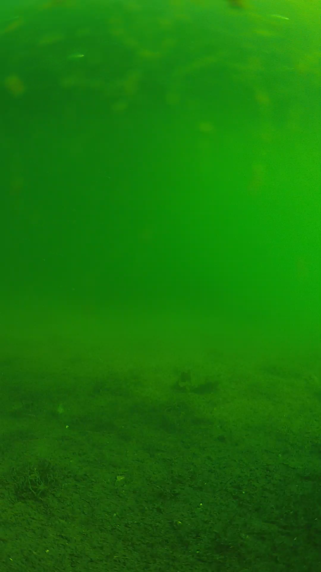 lander_ipcam_20240621080541.png
