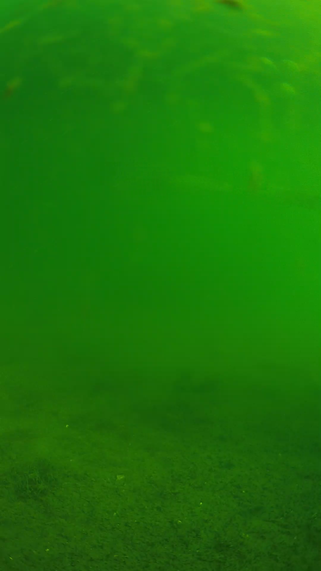 lander_ipcam_20240621083539.png