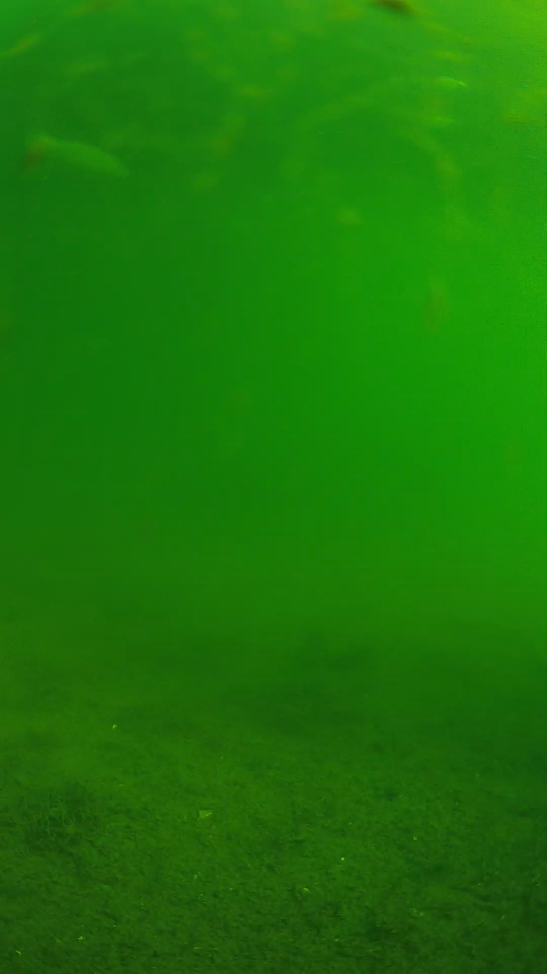 lander_ipcam_20240621083541.png