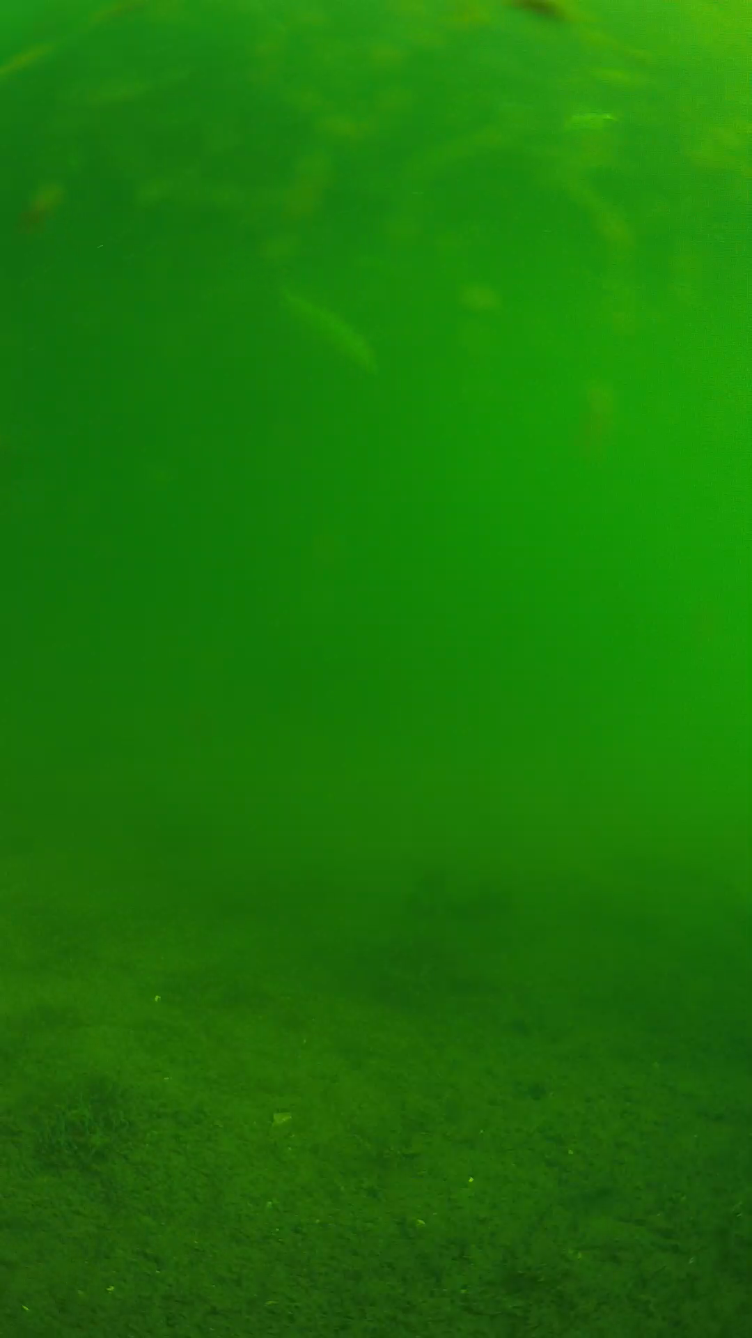 lander_ipcam_20240621083542.png