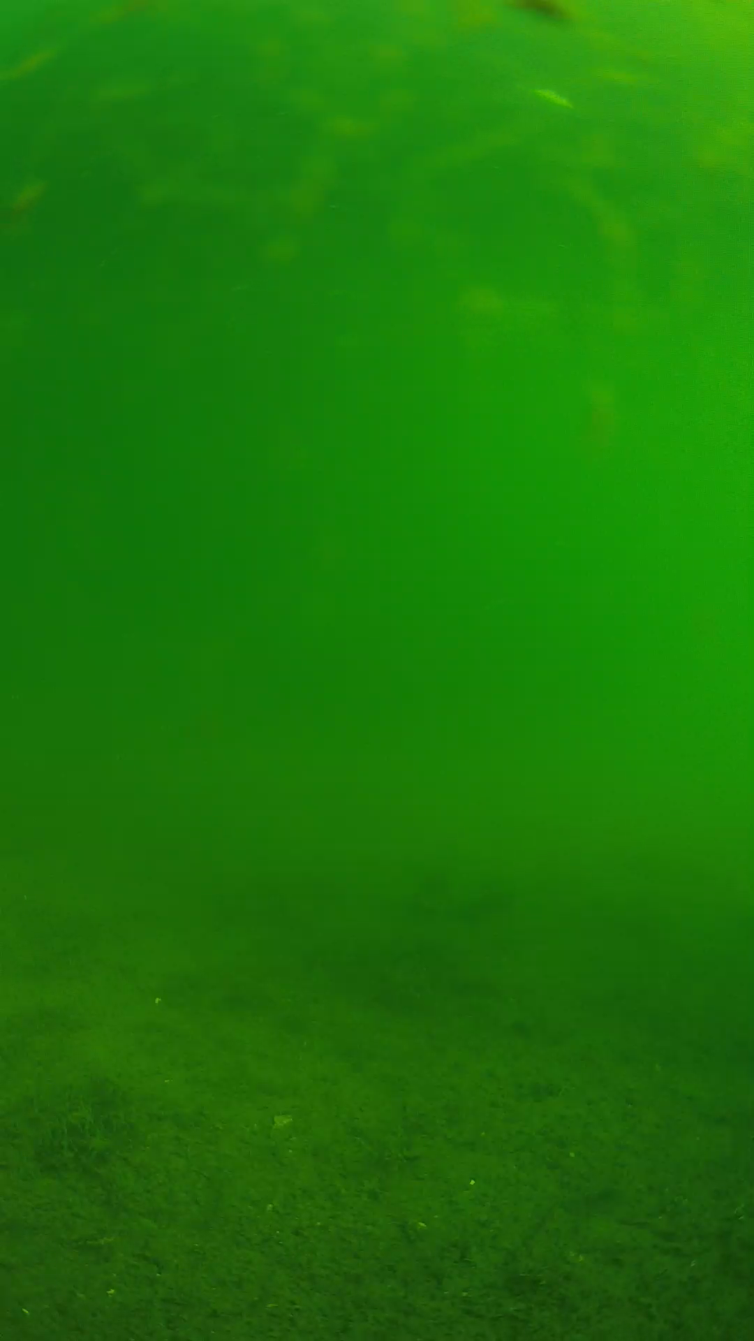 lander_ipcam_20240621083552.png