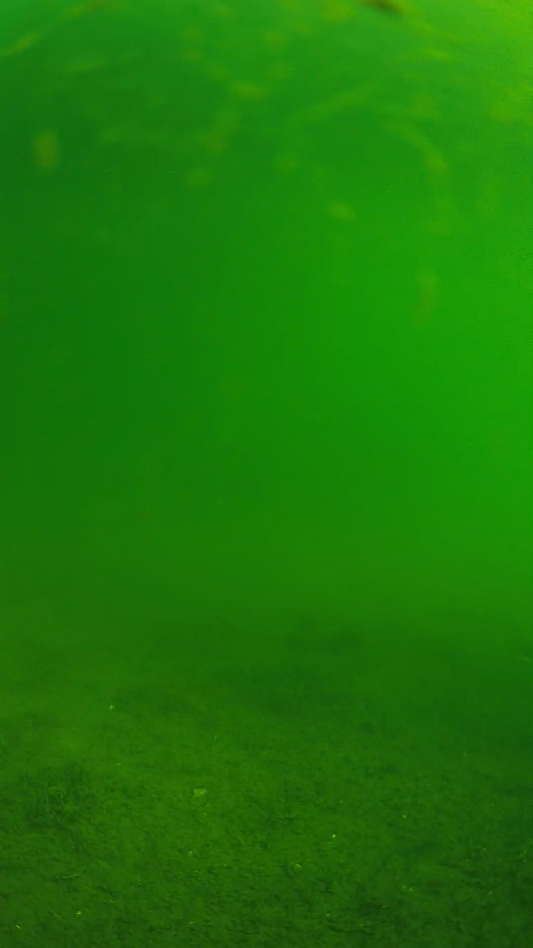 lander_ipcam_20240621083558.png
