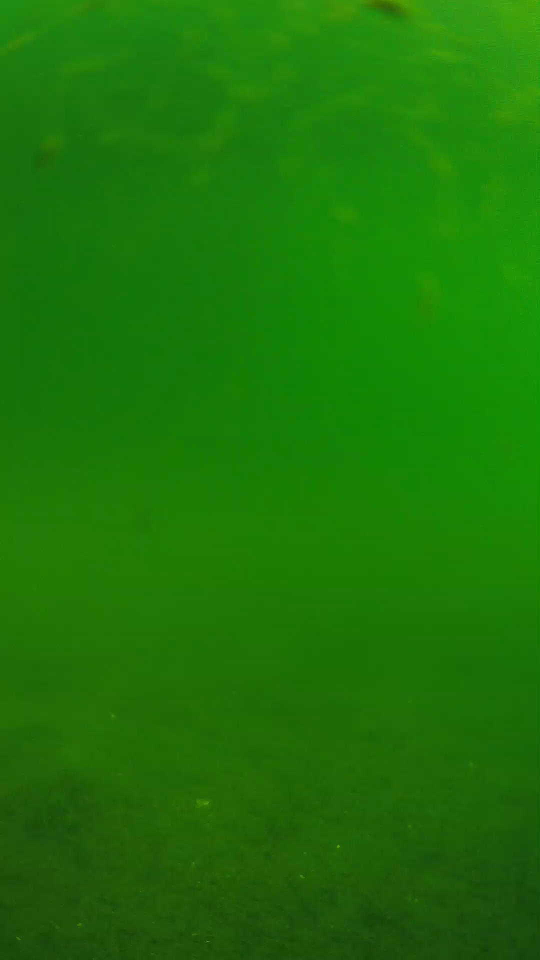 lander_ipcam_20240621090539.png