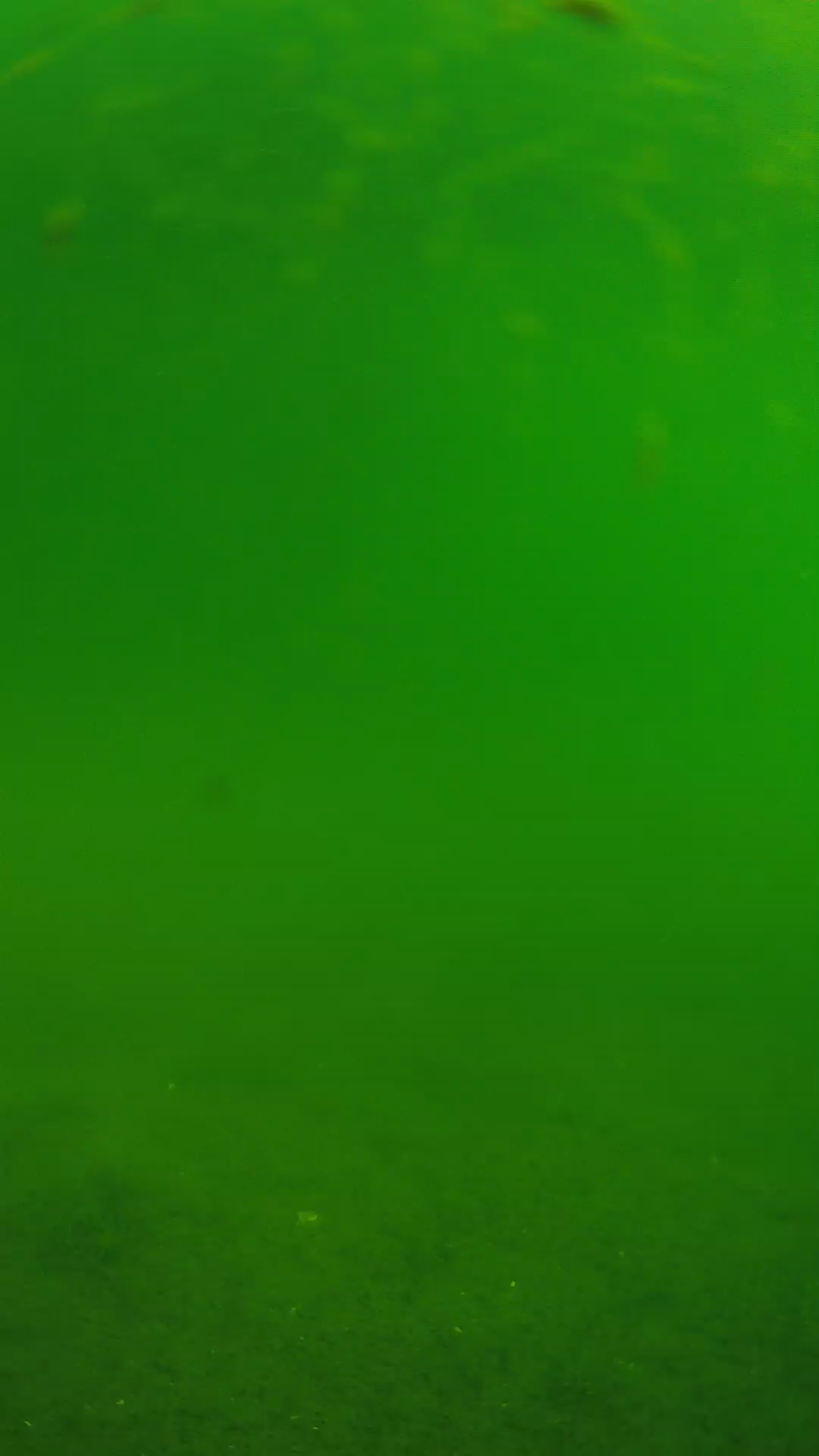 lander_ipcam_20240621090540.png