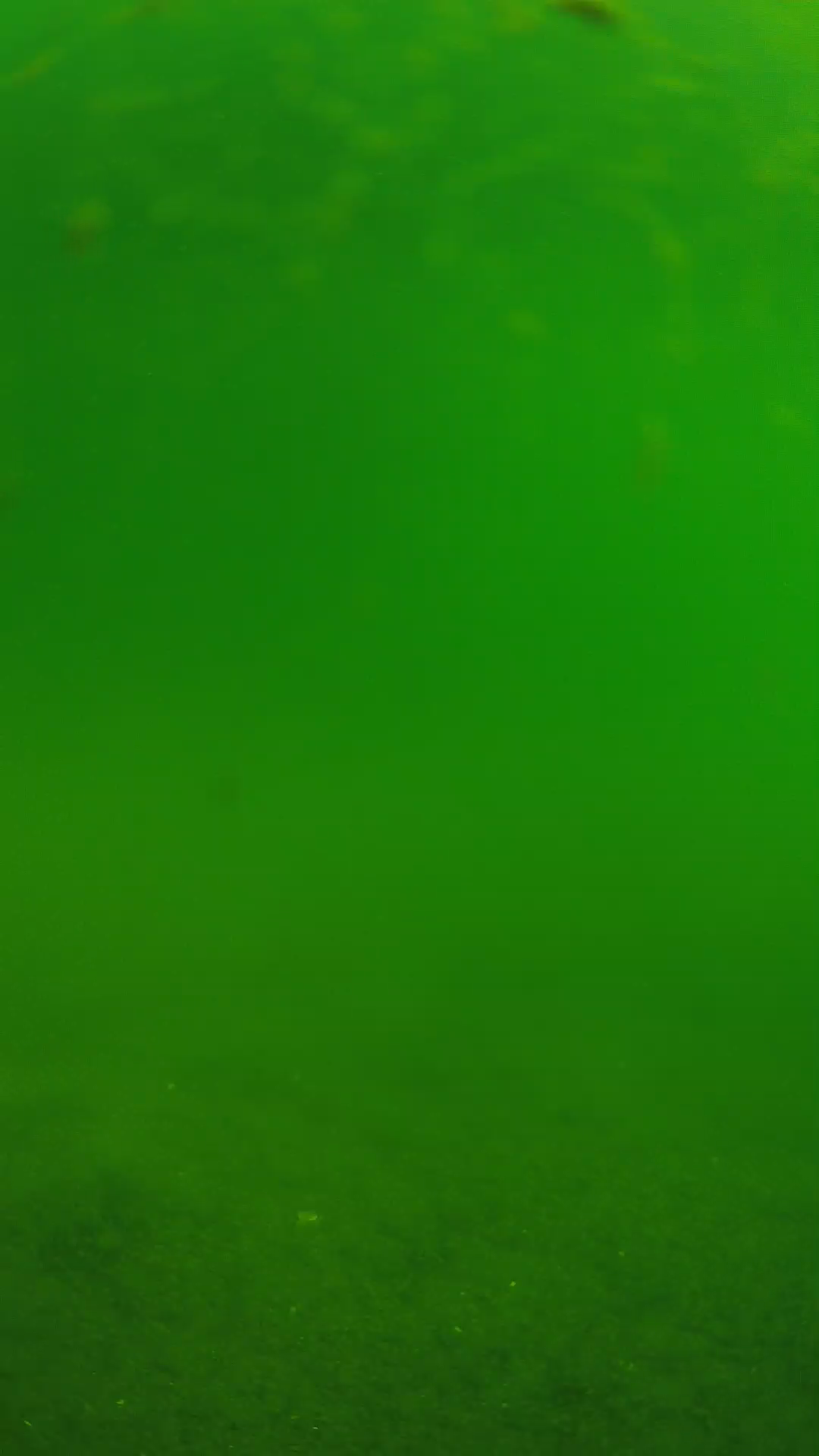 lander_ipcam_20240621090541.png