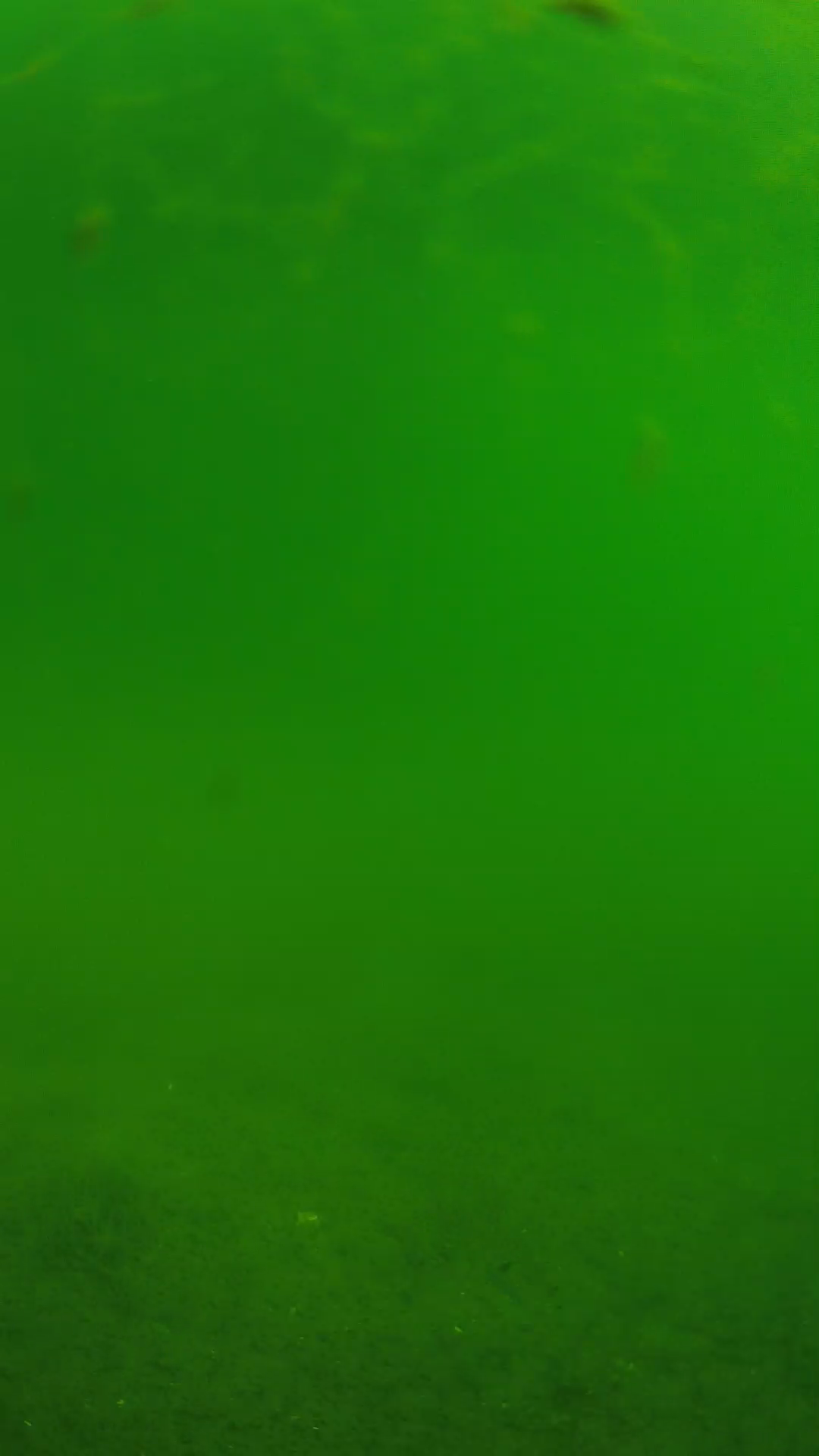 lander_ipcam_20240621090544.png