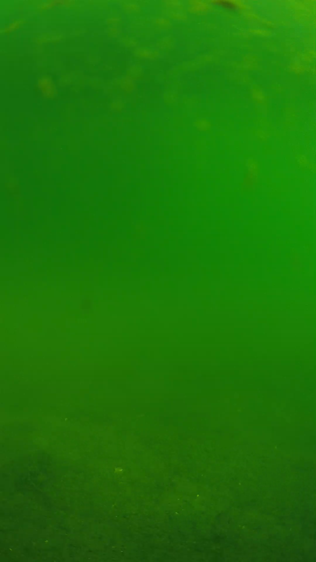 lander_ipcam_20240621090545.png
