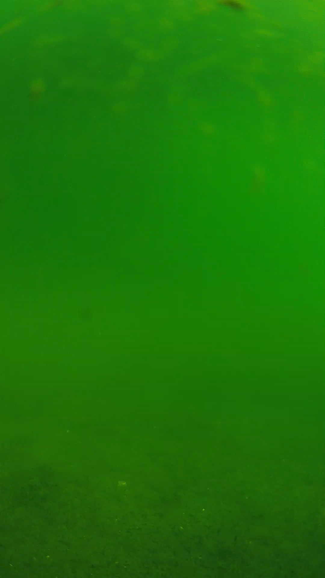 lander_ipcam_20240621090546.png