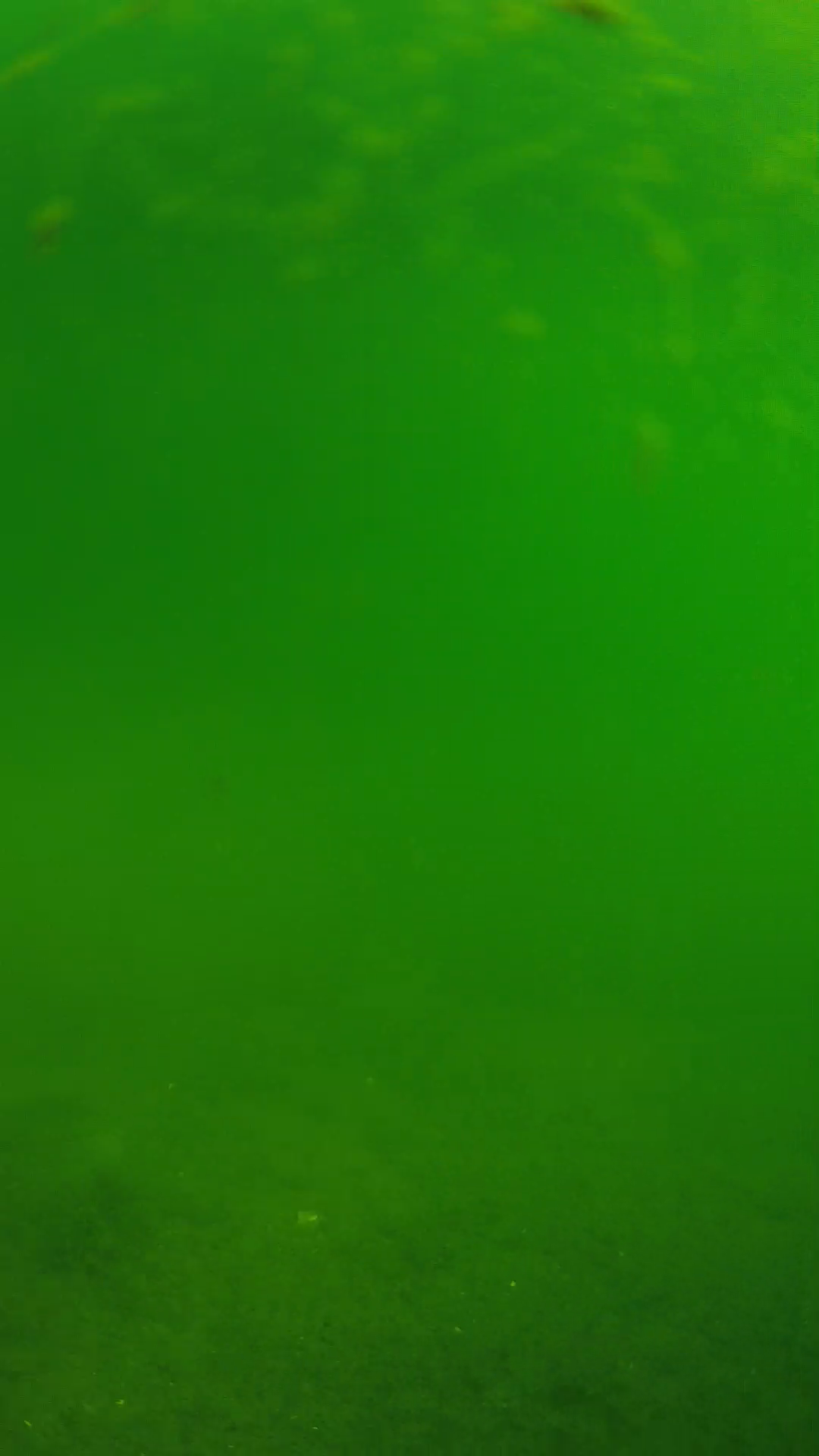lander_ipcam_20240621090547.png