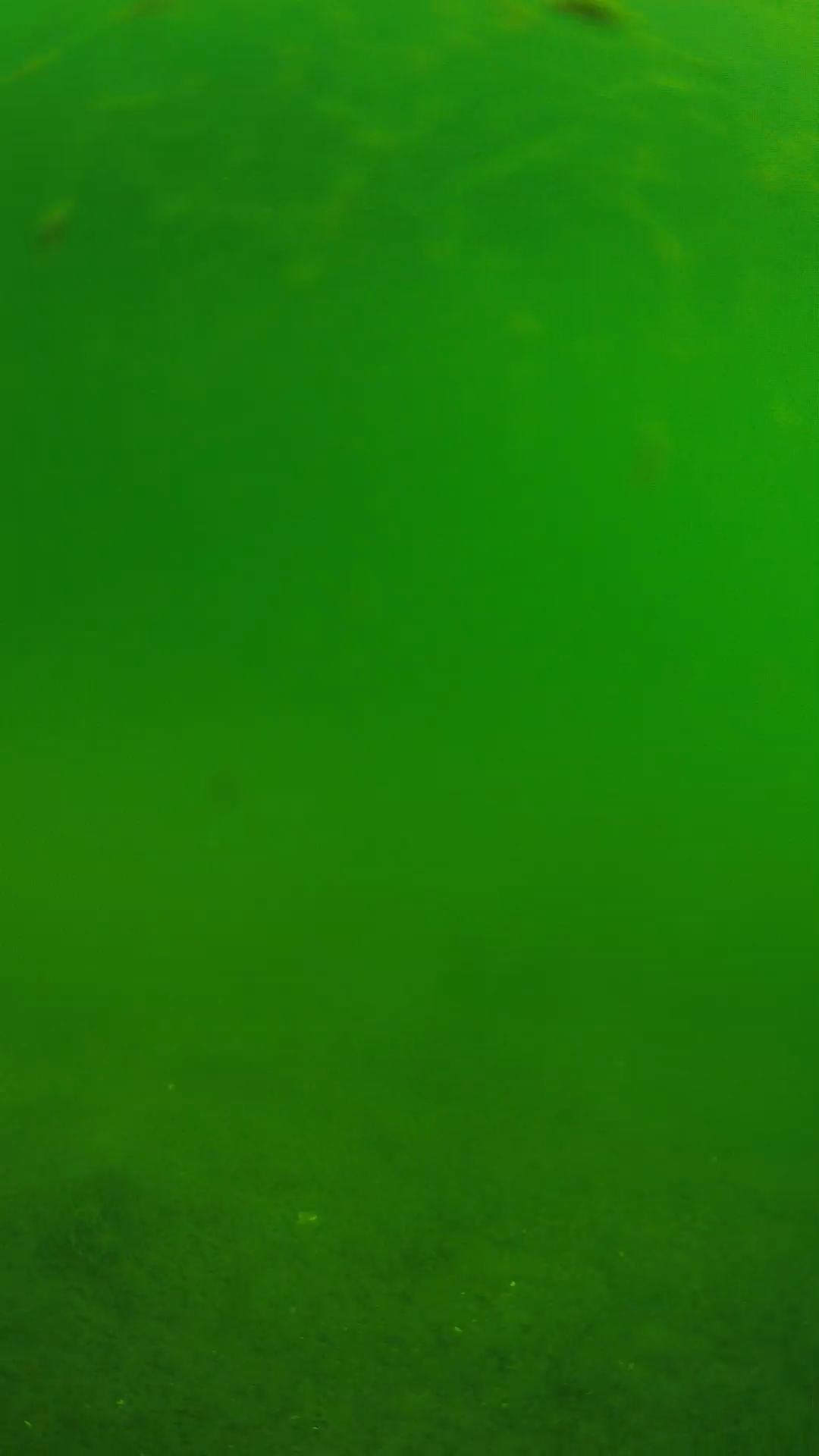 lander_ipcam_20240621090548.png