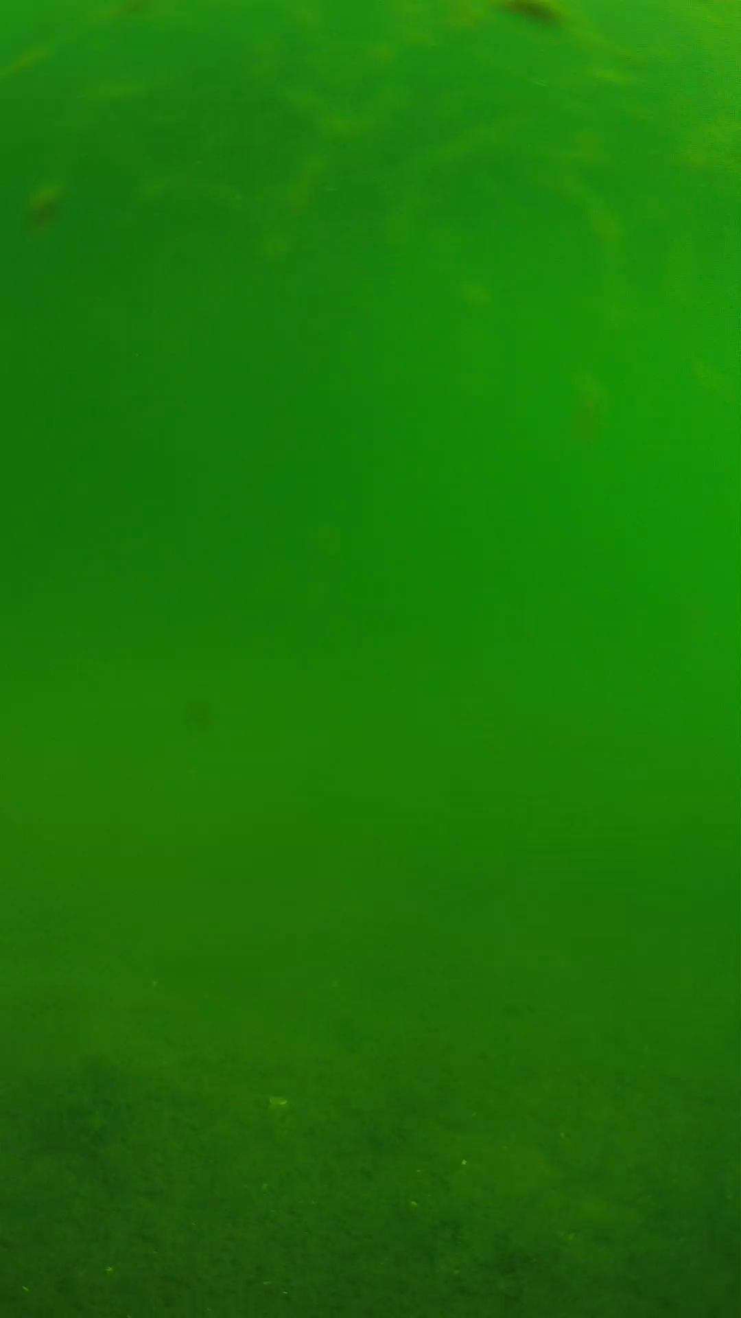 lander_ipcam_20240621090549.png