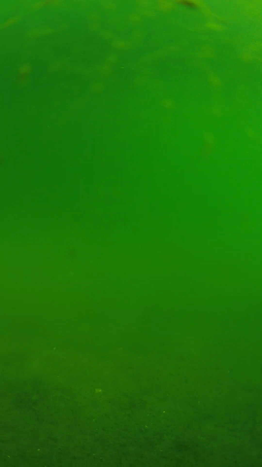 lander_ipcam_20240621090550.png