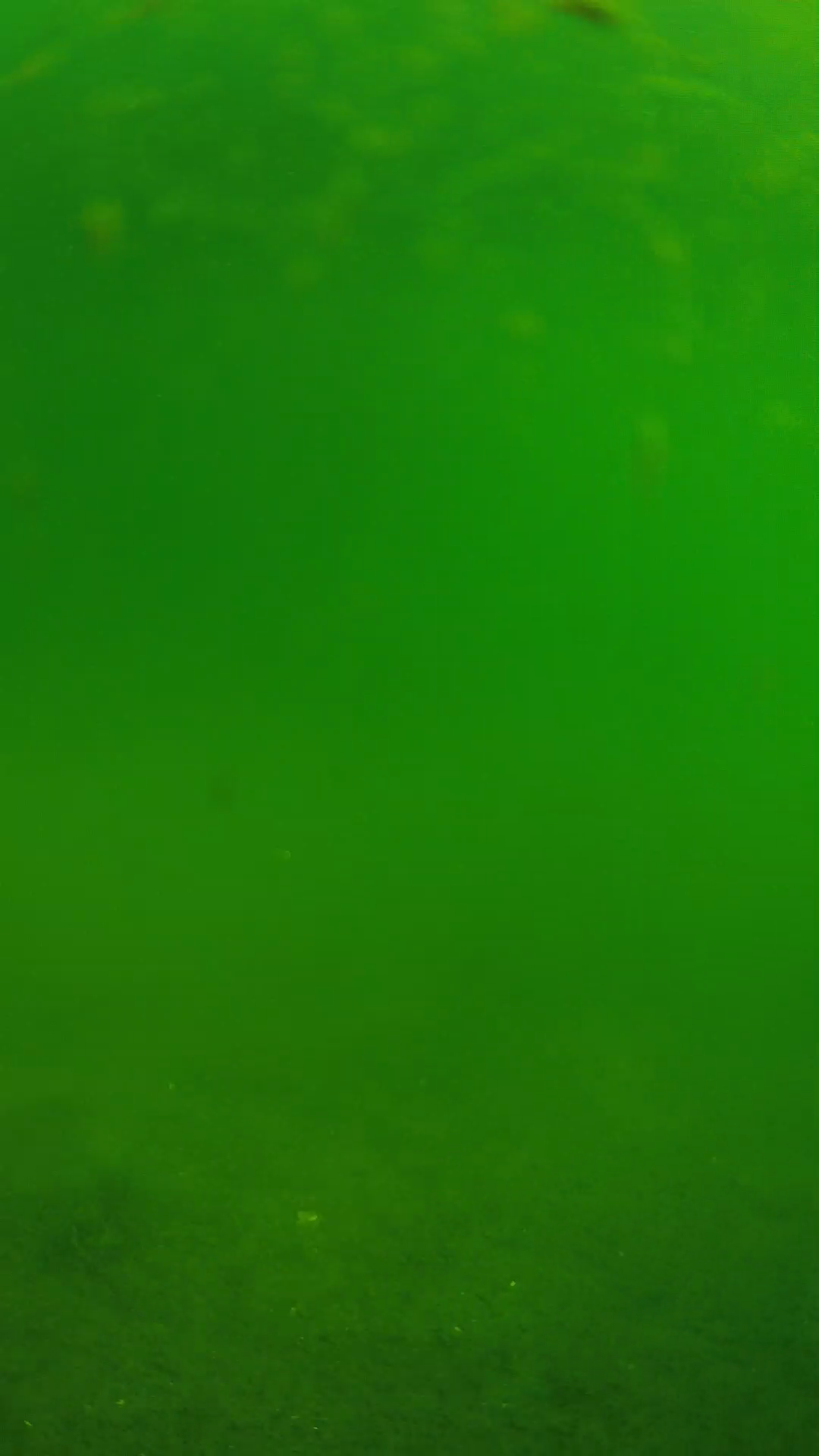 lander_ipcam_20240621090551.png