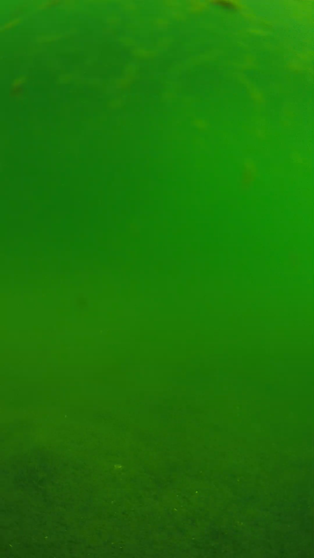 lander_ipcam_20240621090552.png