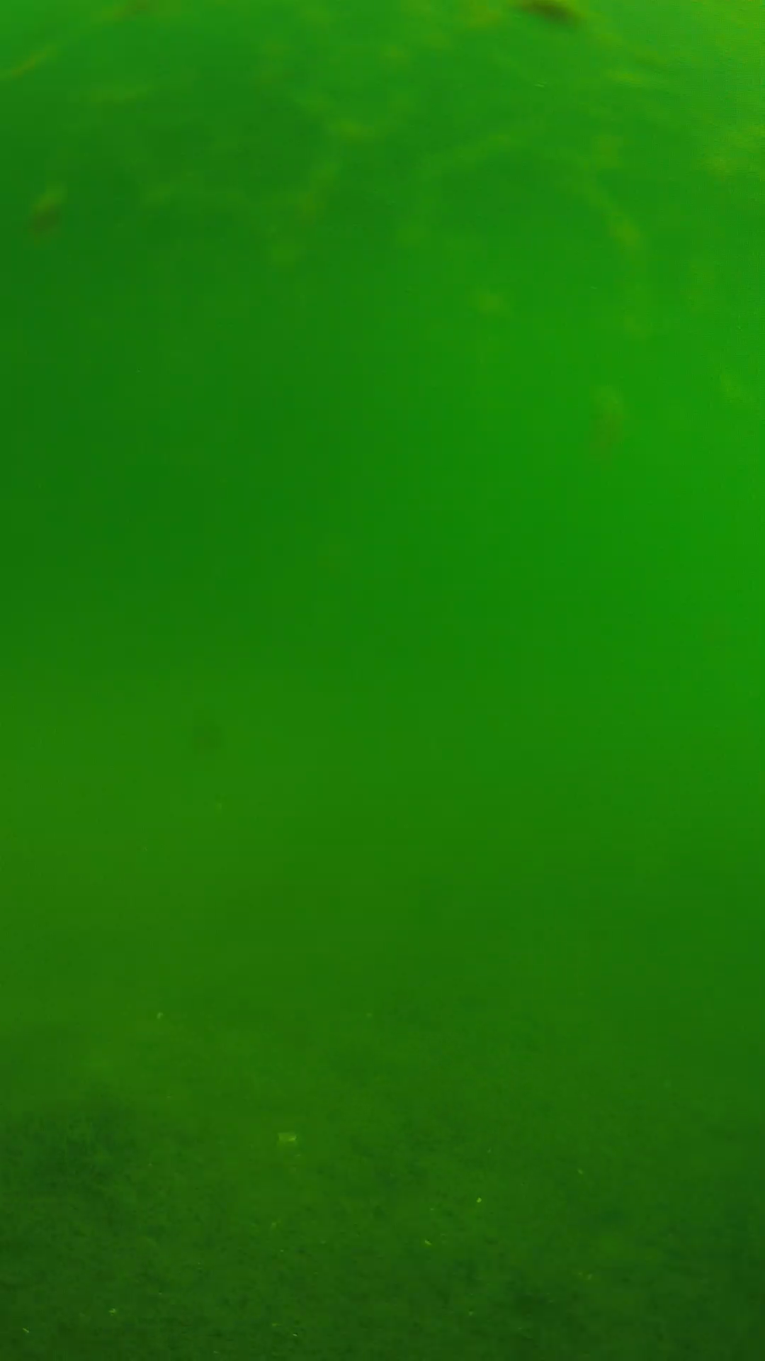 lander_ipcam_20240621090553.png