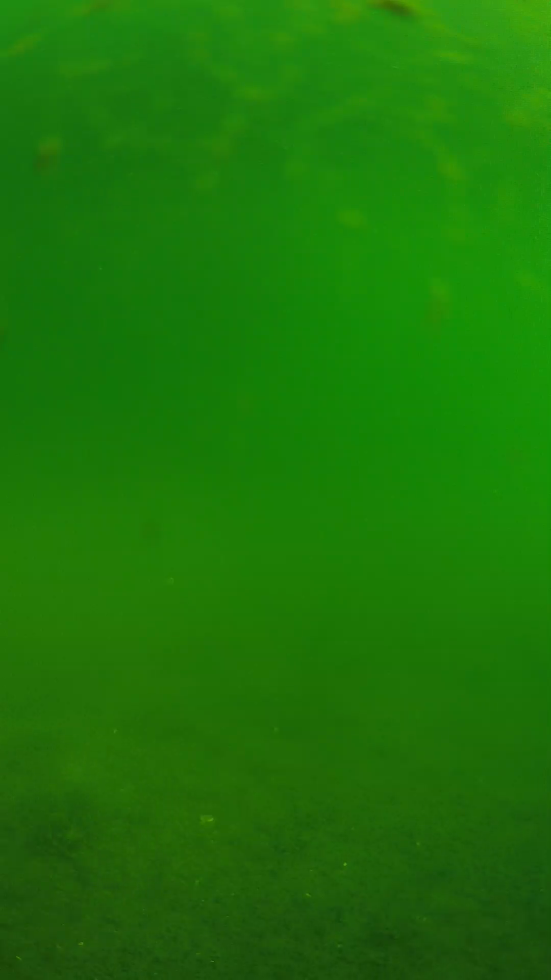 lander_ipcam_20240621090554.png