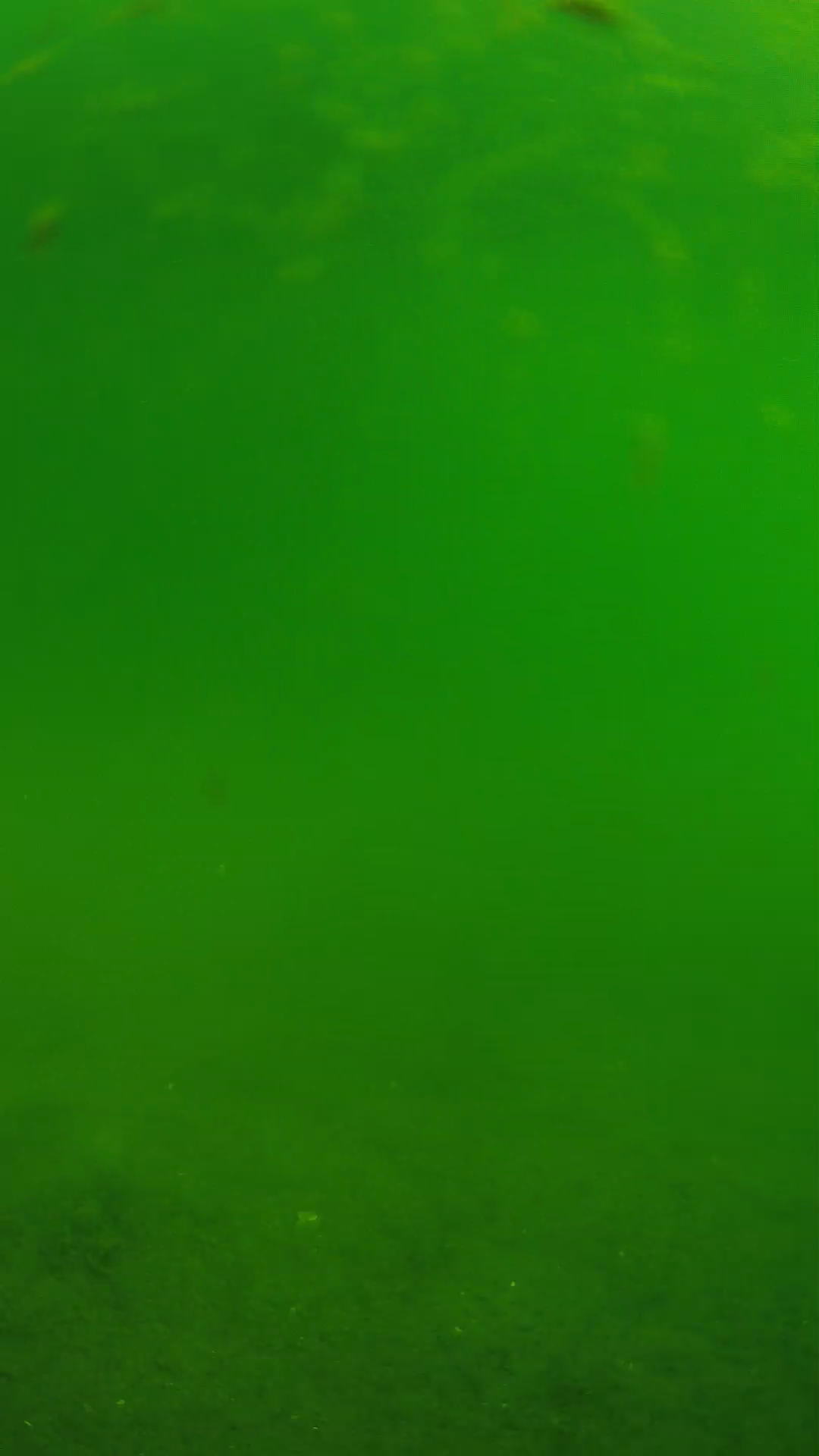 lander_ipcam_20240621090555.png