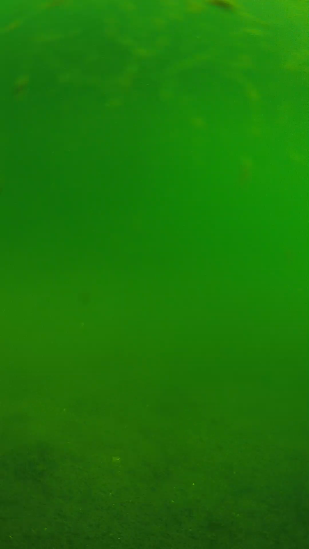 lander_ipcam_20240621090556.png