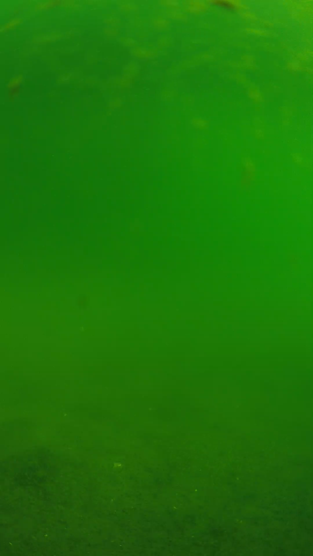 lander_ipcam_20240621090557.png