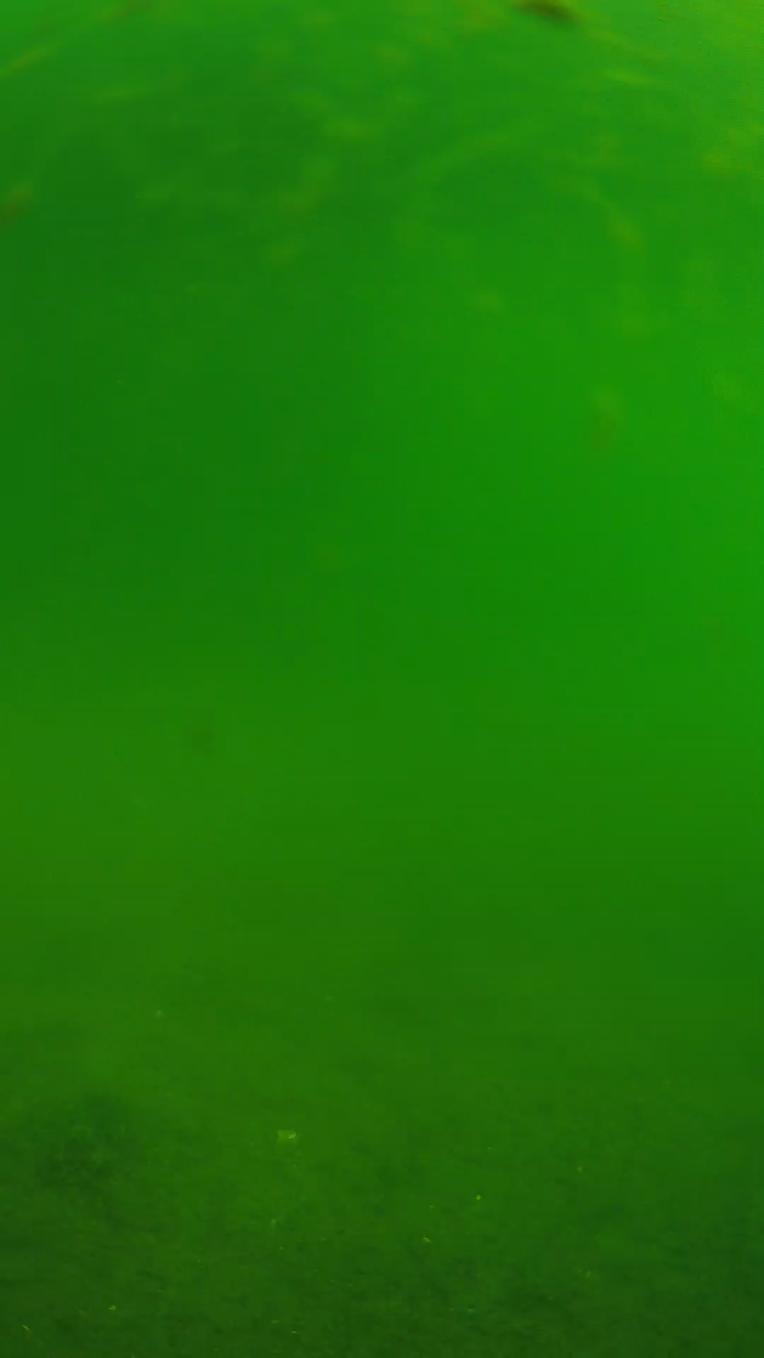 lander_ipcam_20240621090558.png