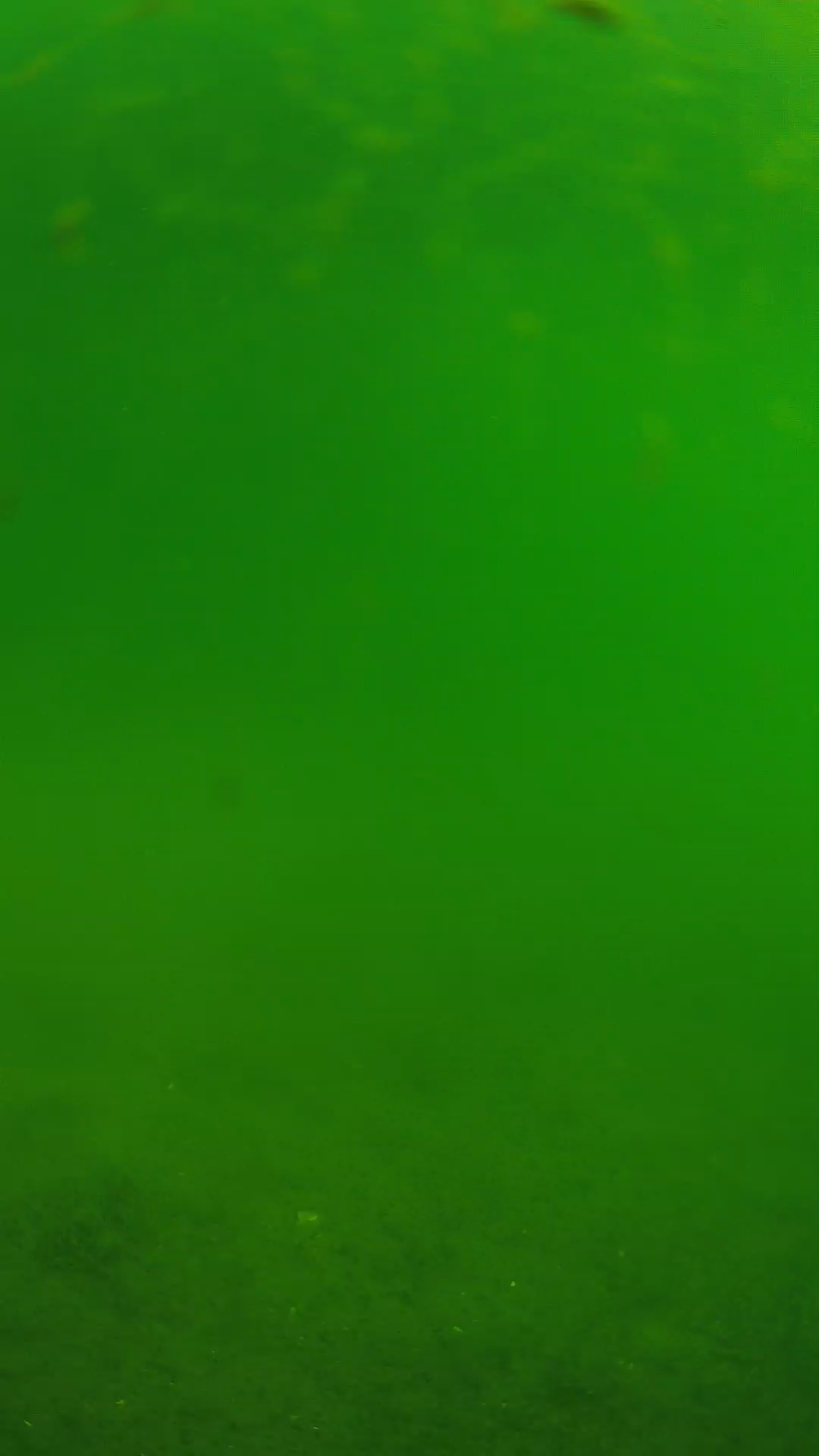 lander_ipcam_20240621090559.png