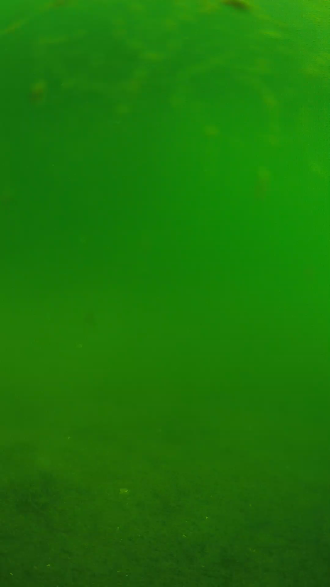 lander_ipcam_20240621090600.png