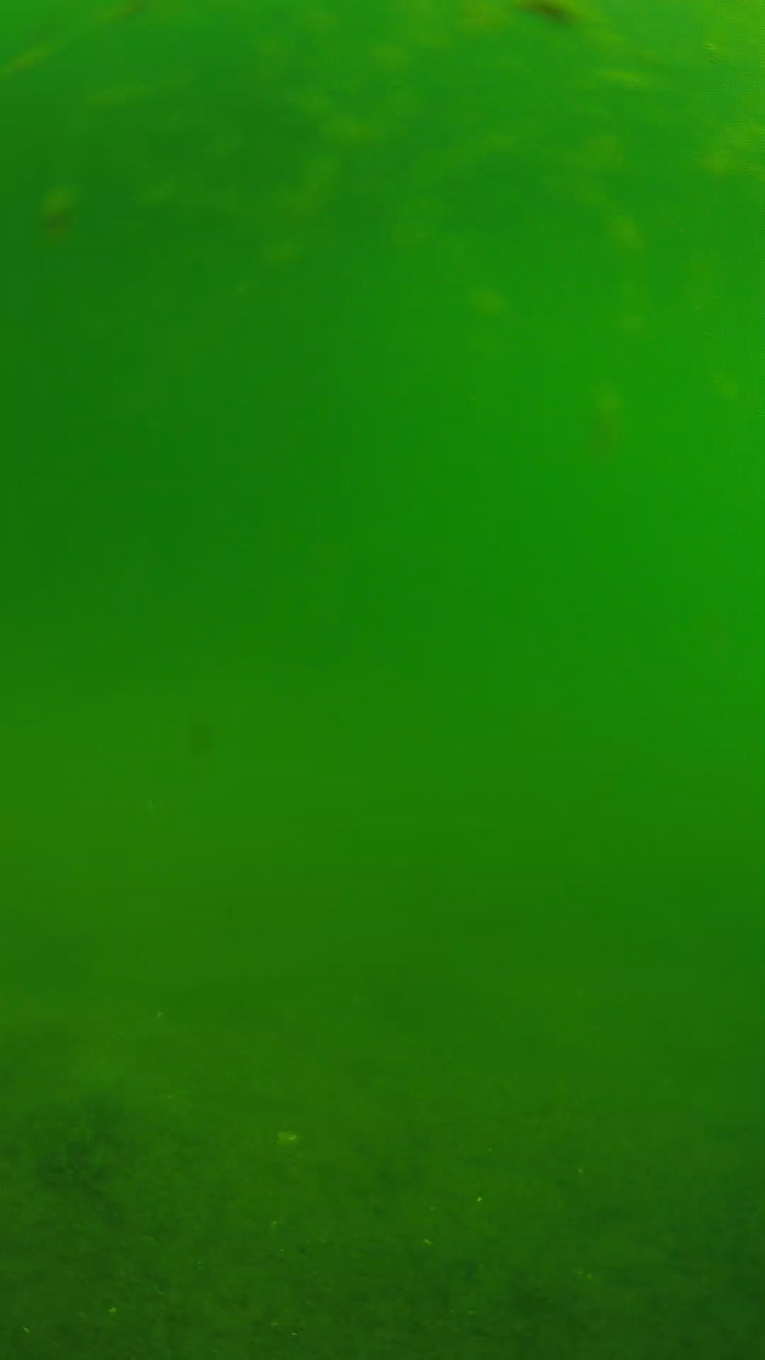 lander_ipcam_20240621090601.png