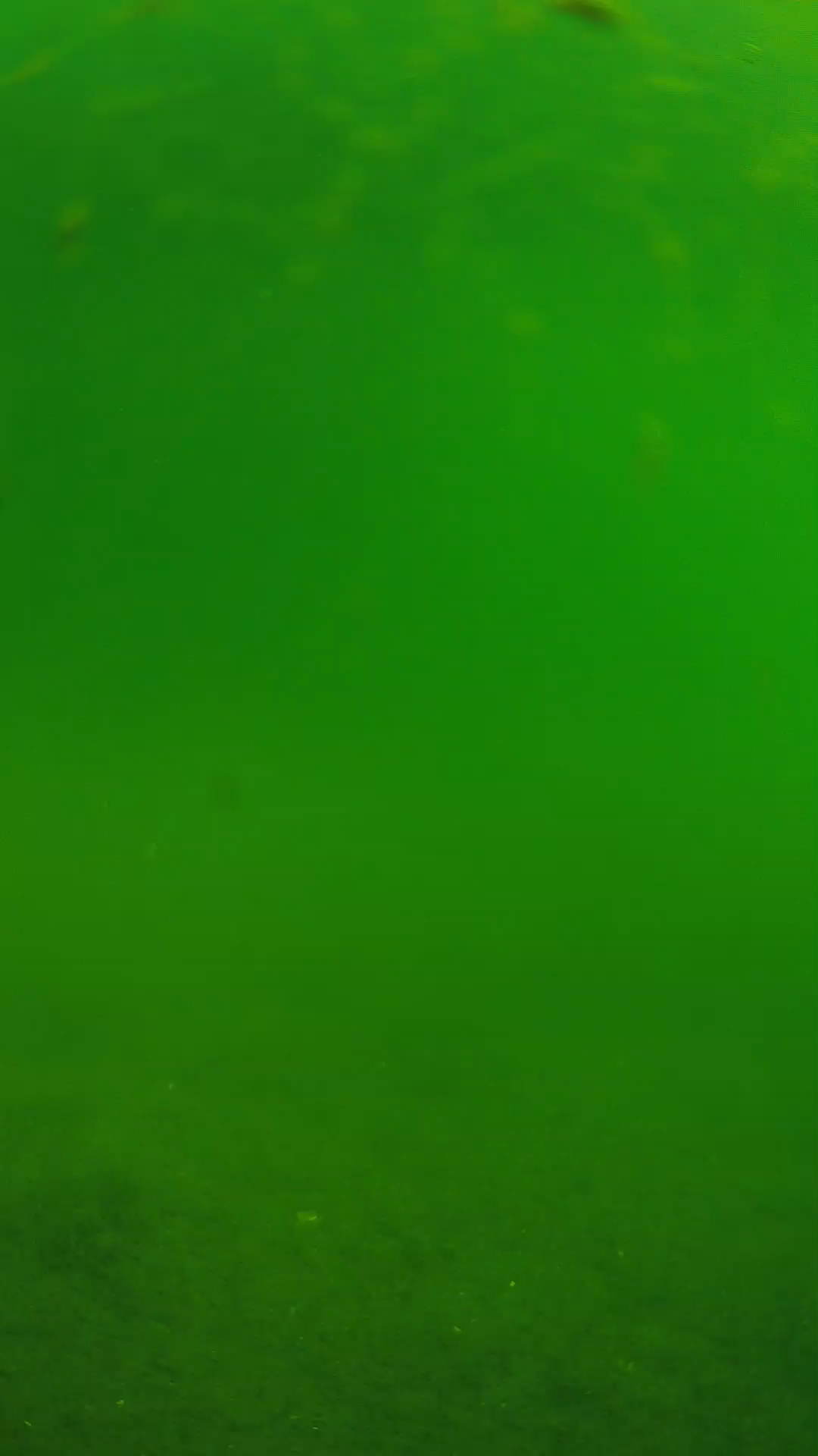 lander_ipcam_20240621090602.png