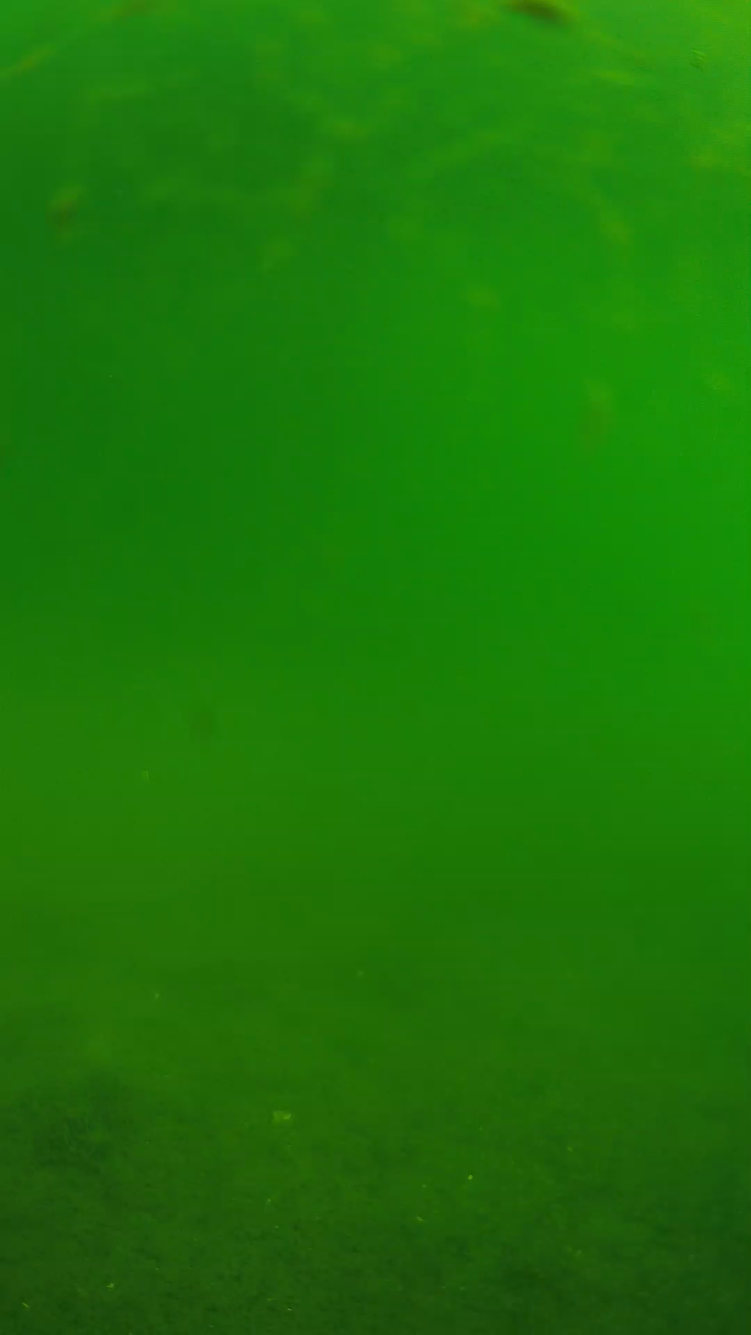 lander_ipcam_20240621090603.png