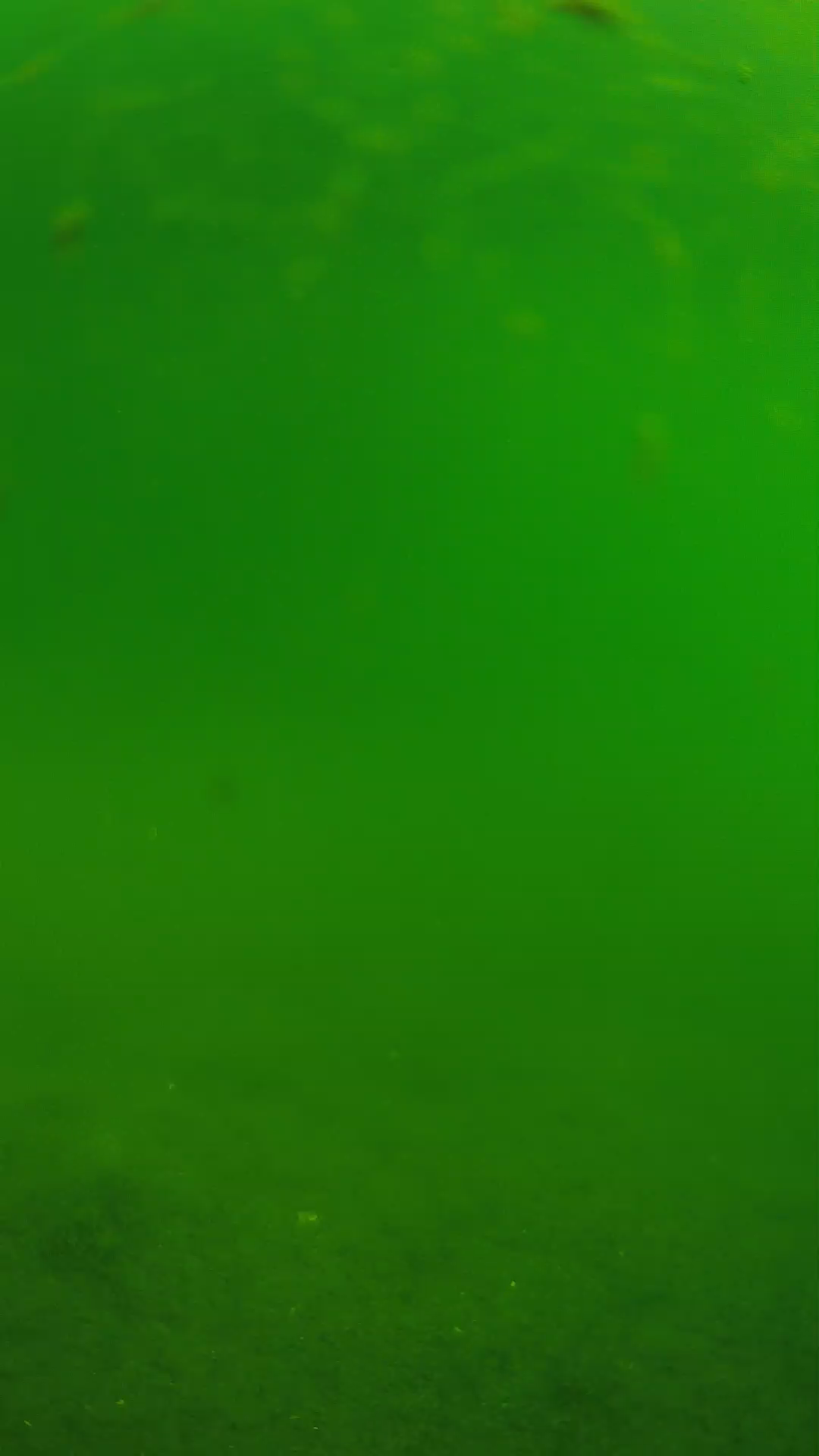 lander_ipcam_20240621090604.png