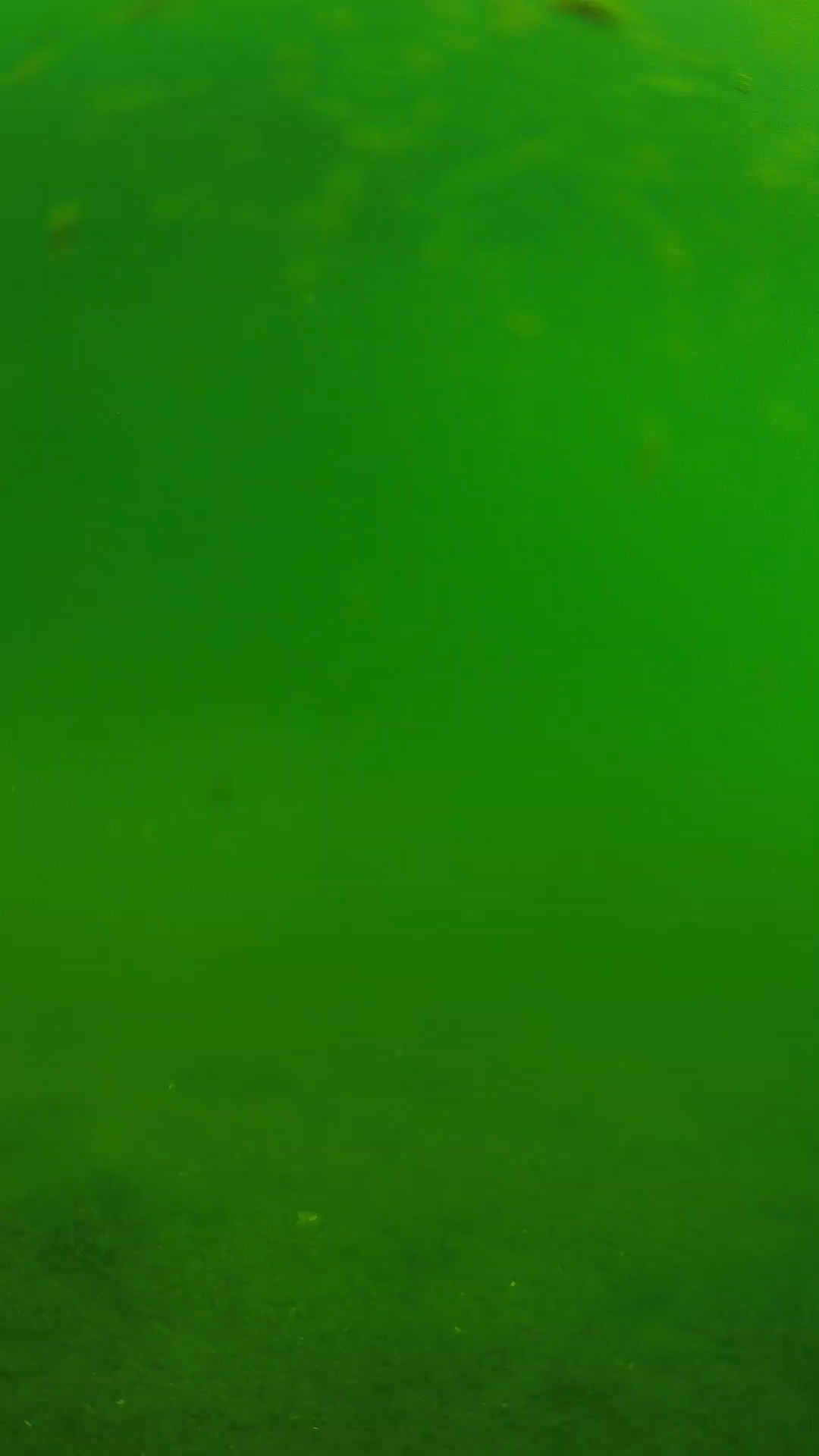 lander_ipcam_20240621090605.png