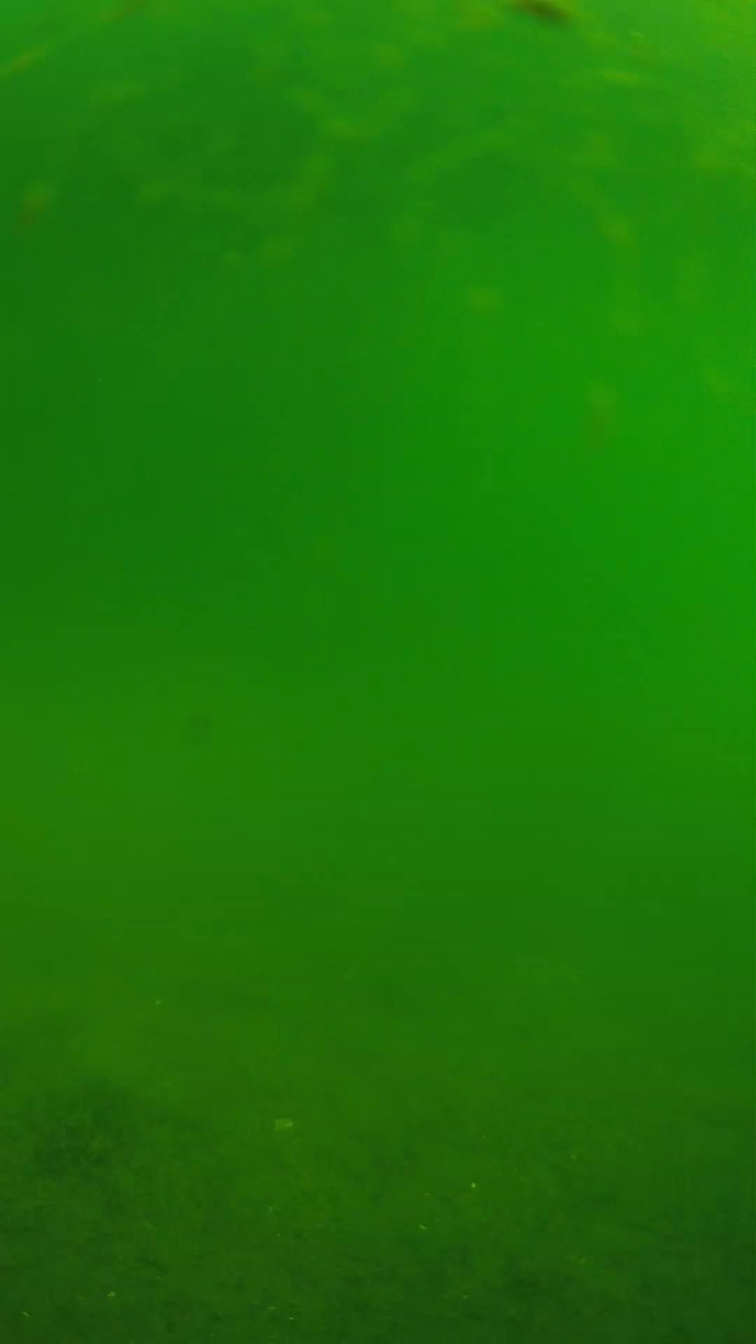 lander_ipcam_20240621090606.png