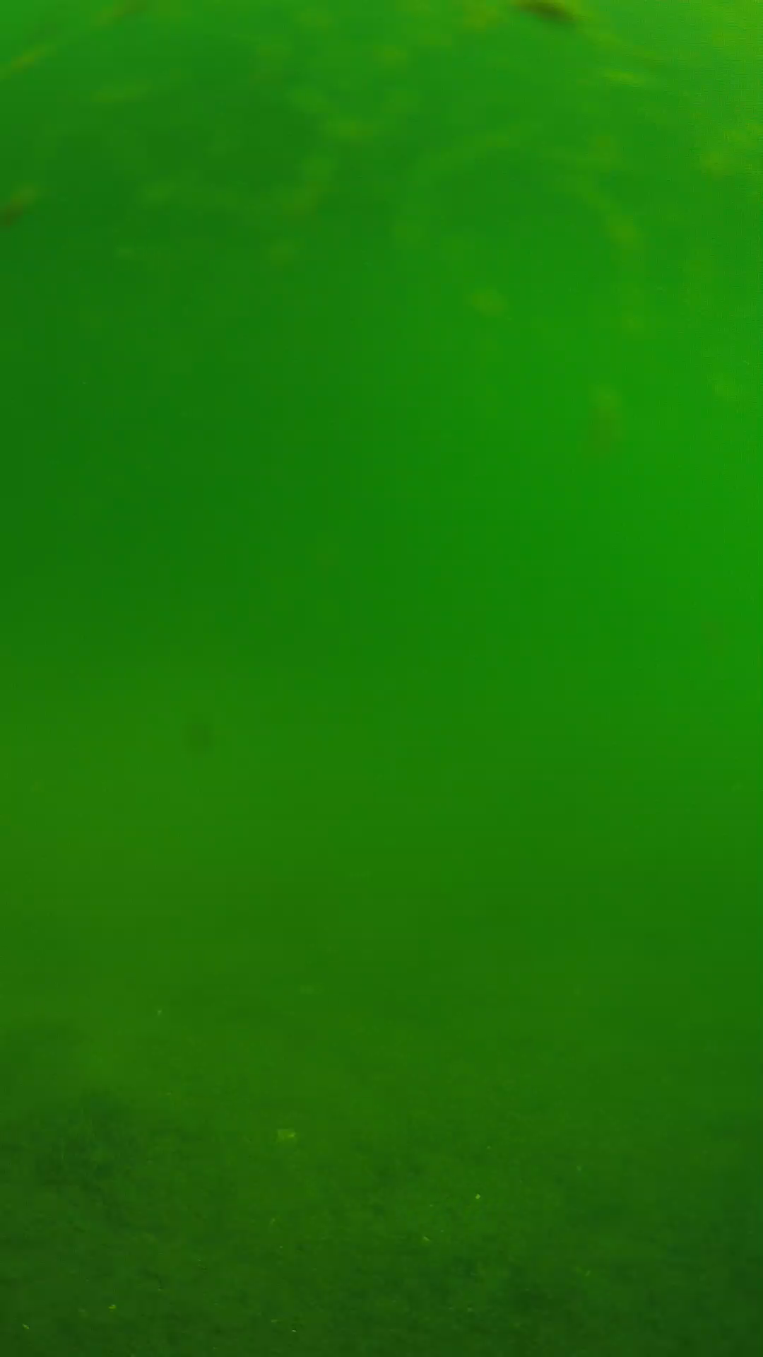 lander_ipcam_20240621090607.png