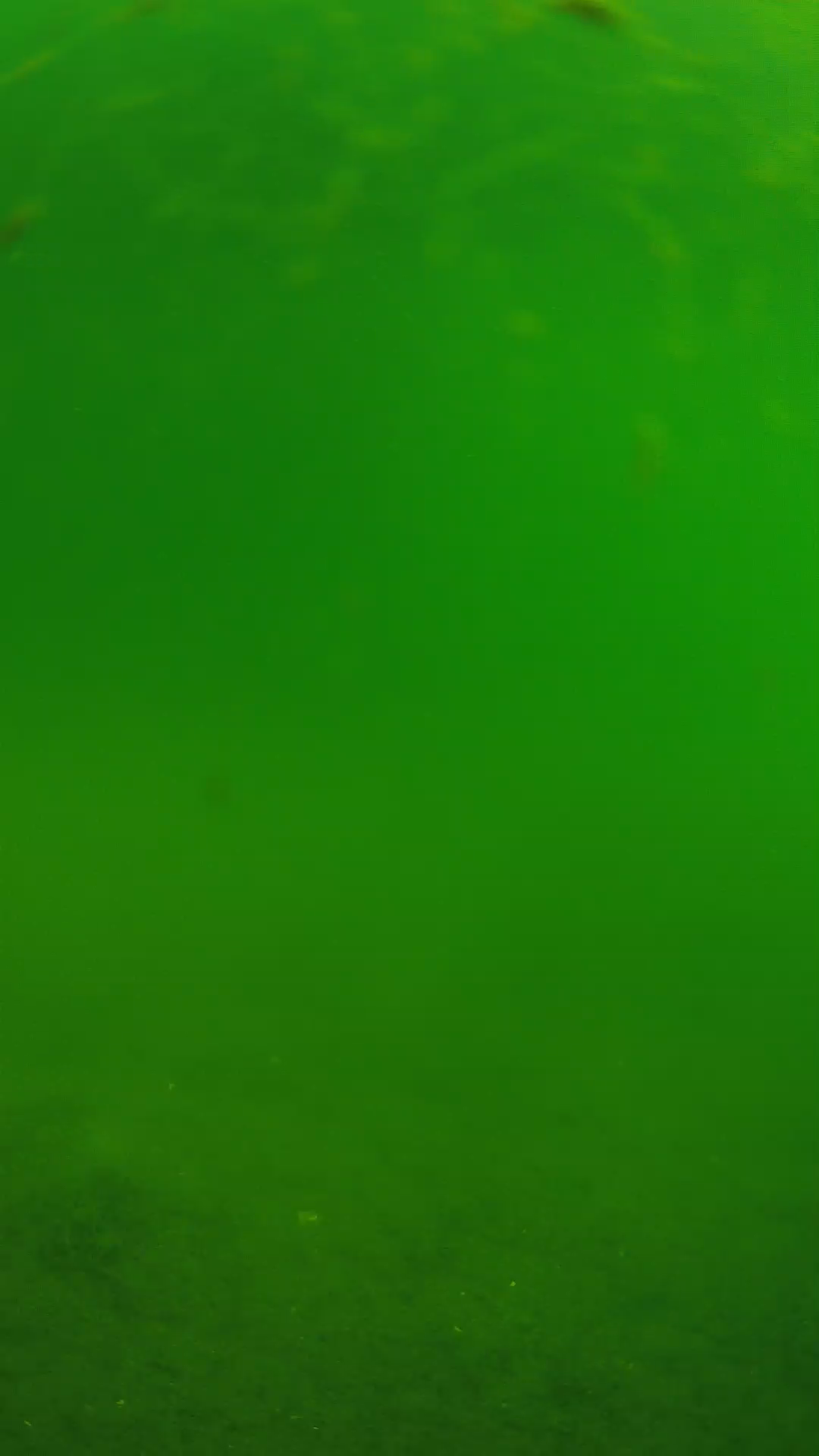 lander_ipcam_20240621090608.png