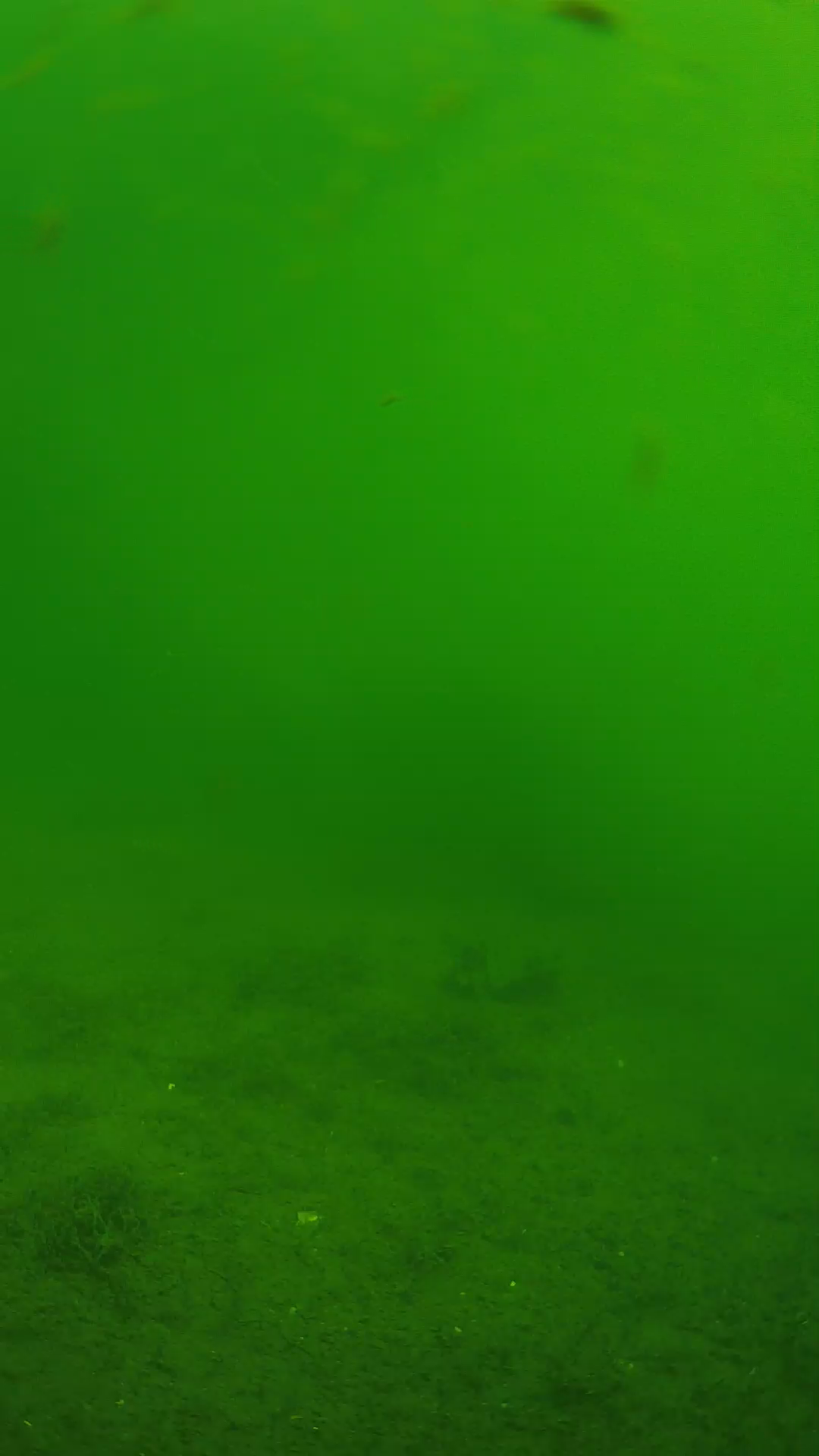 lander_ipcam_20240621093601.png
