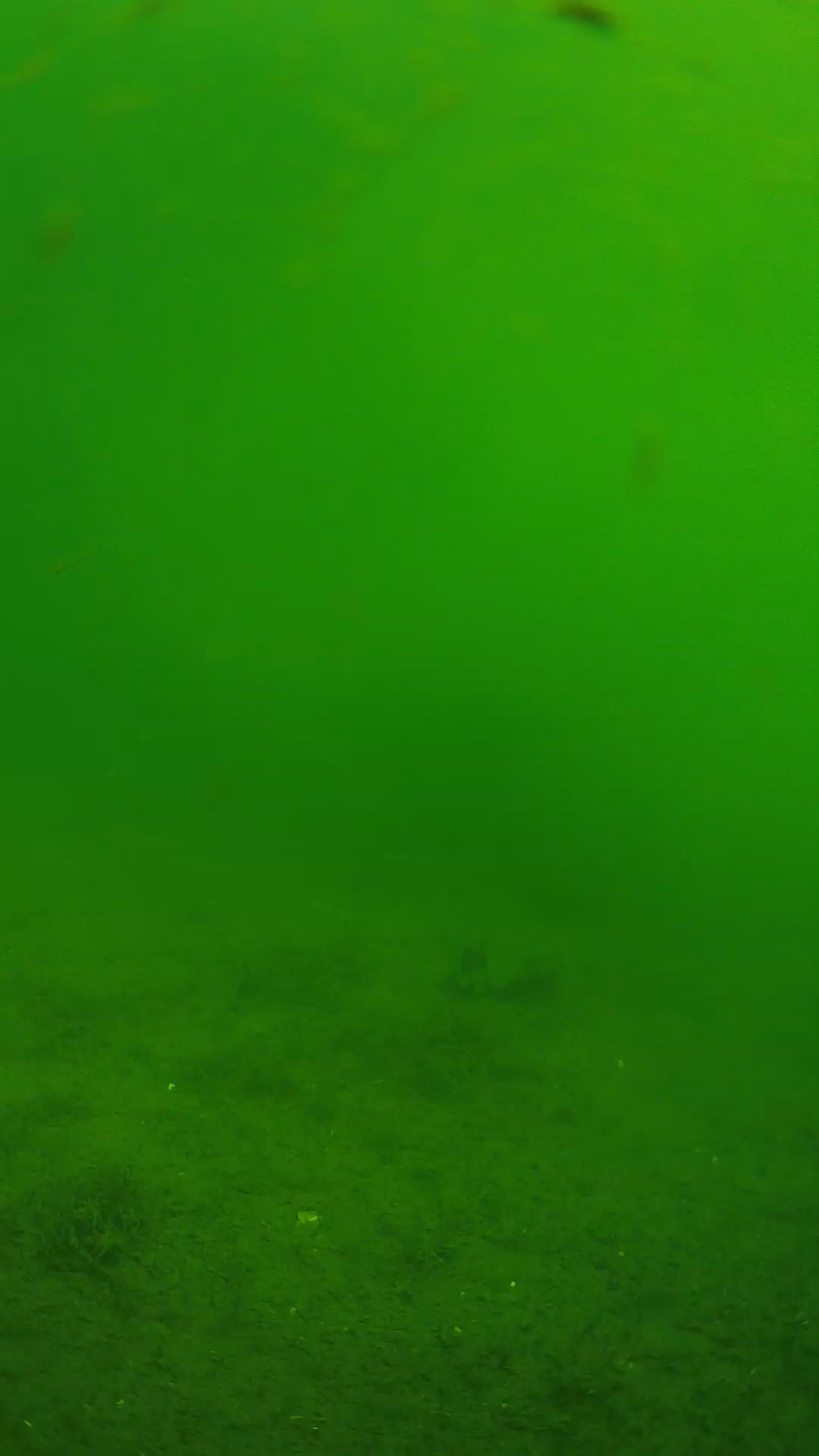 lander_ipcam_20240621093607.png
