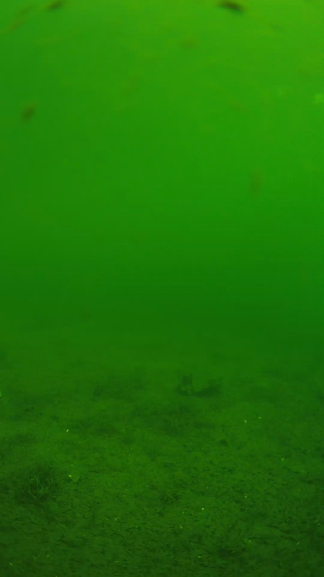 lander_ipcam_20240621100538.png