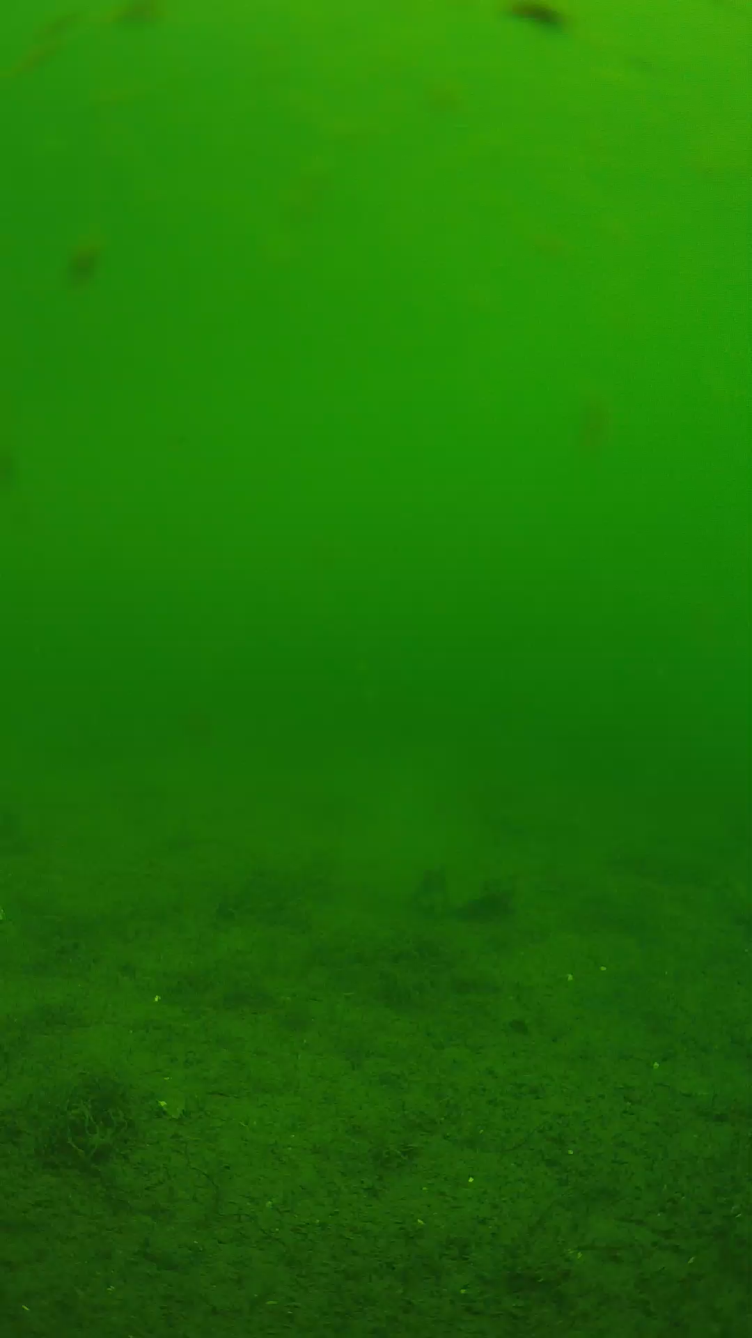 lander_ipcam_20240621100552.png