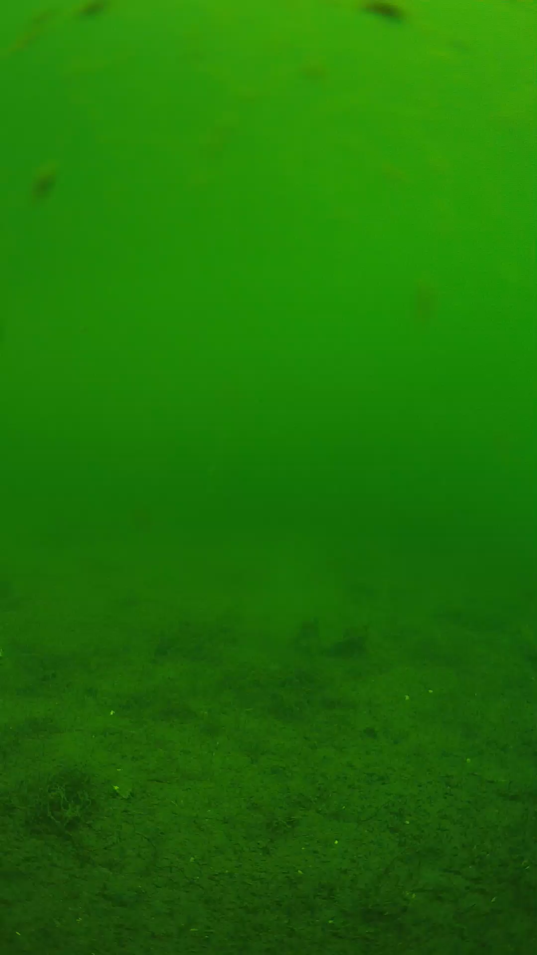lander_ipcam_20240621100553.png