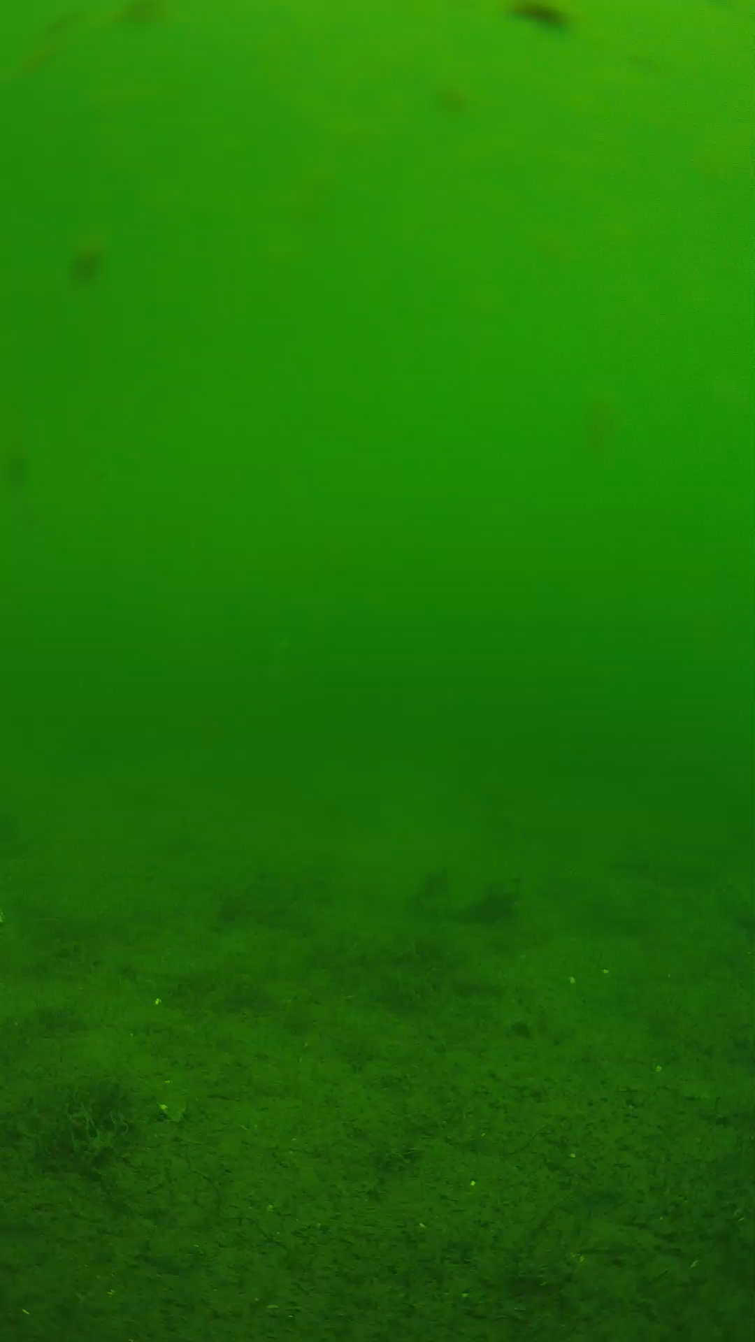 lander_ipcam_20240621100554.png