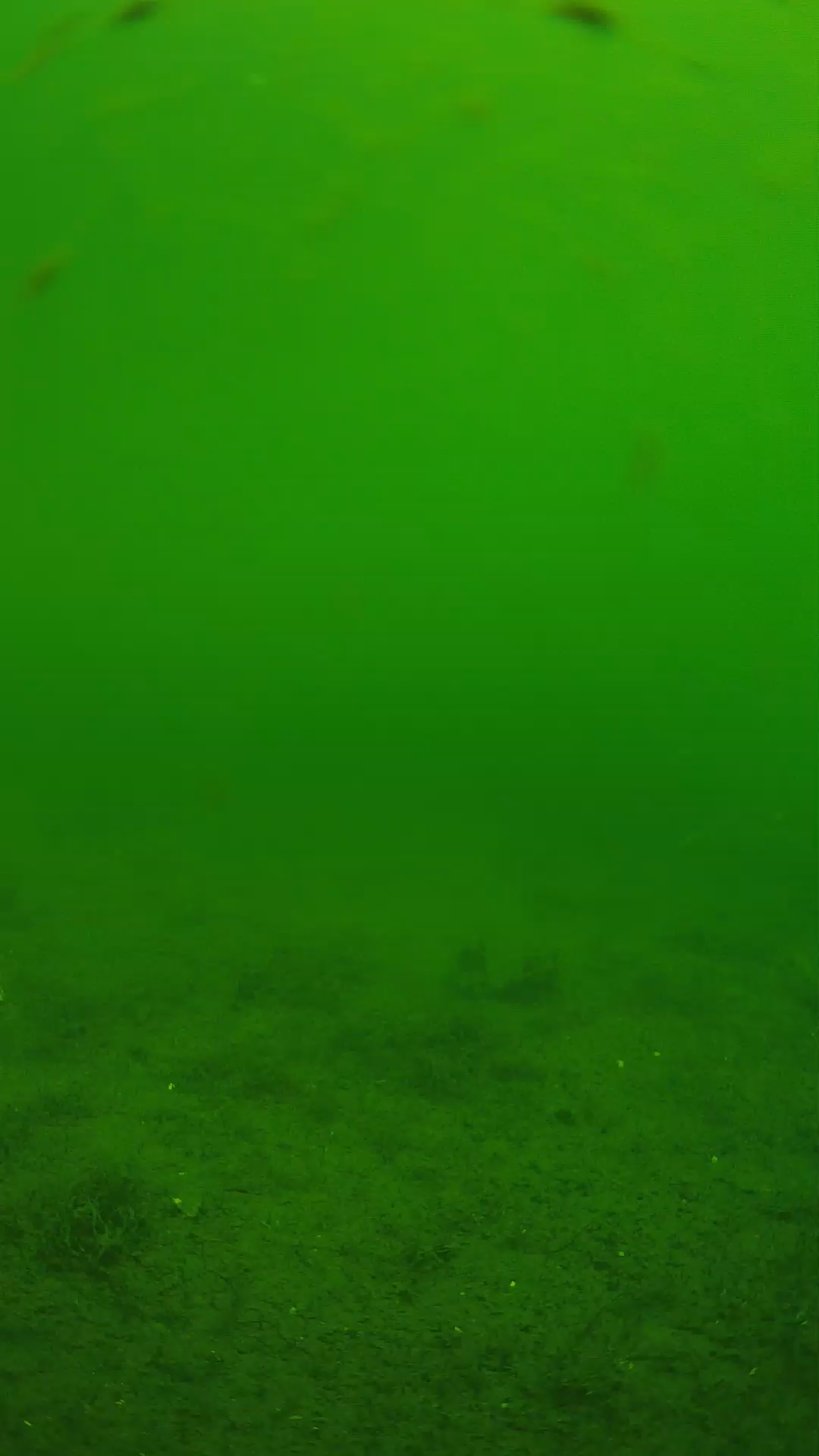 lander_ipcam_20240621100604.png