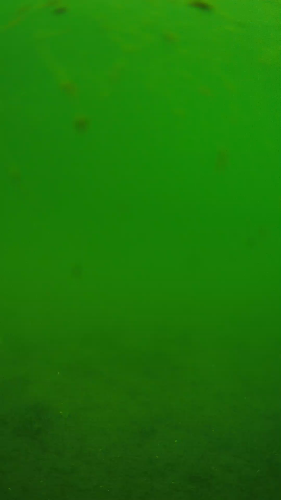 lander_ipcam_20240621103538.png