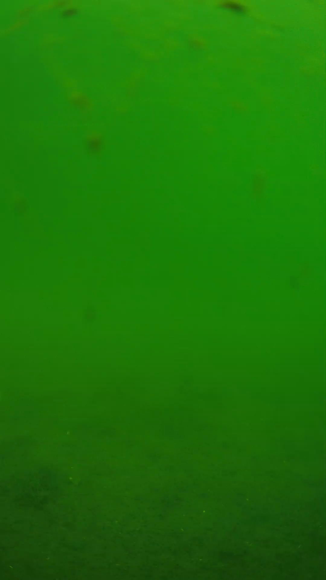 lander_ipcam_20240621103539.png