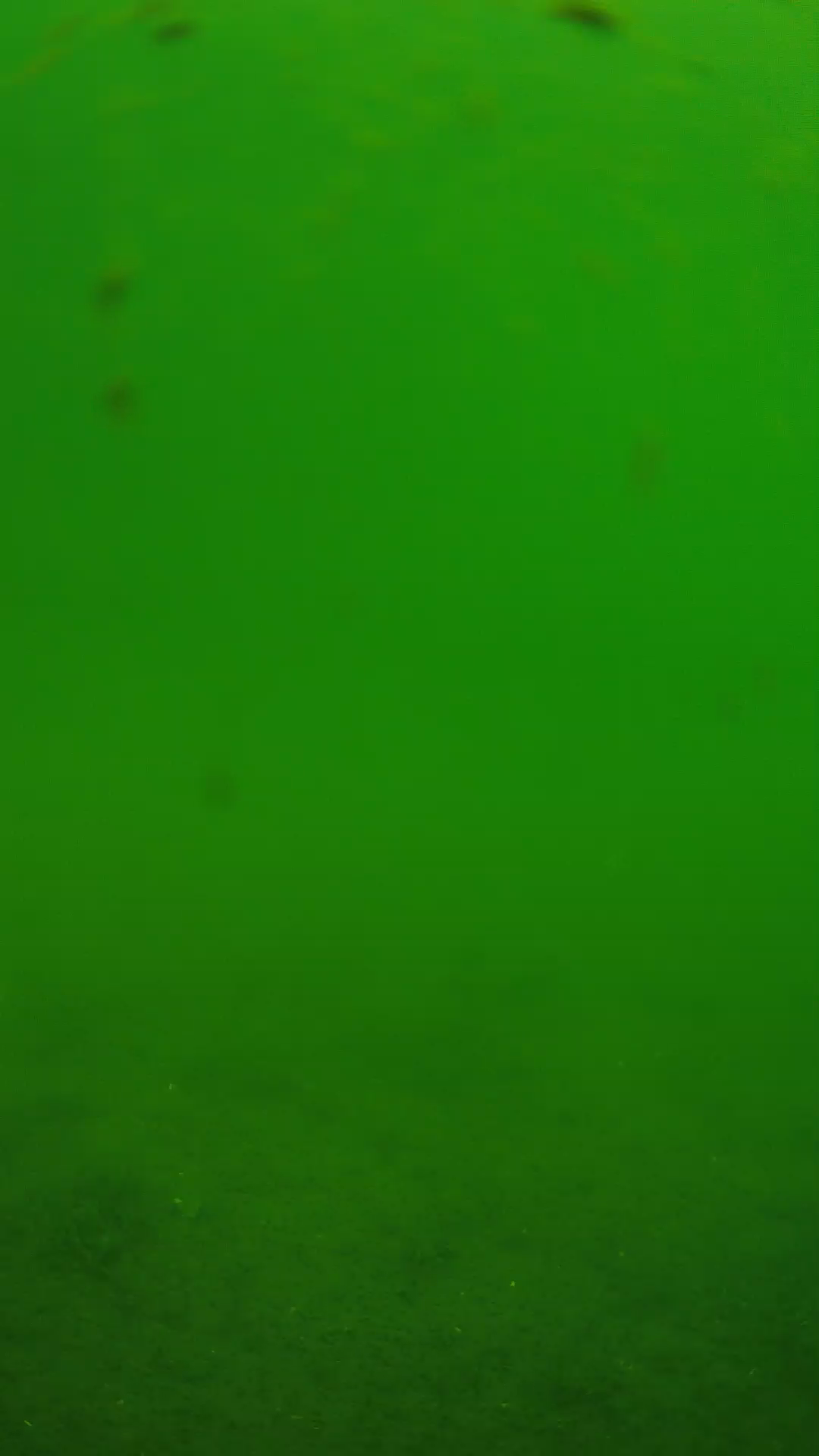 lander_ipcam_20240621103542.png