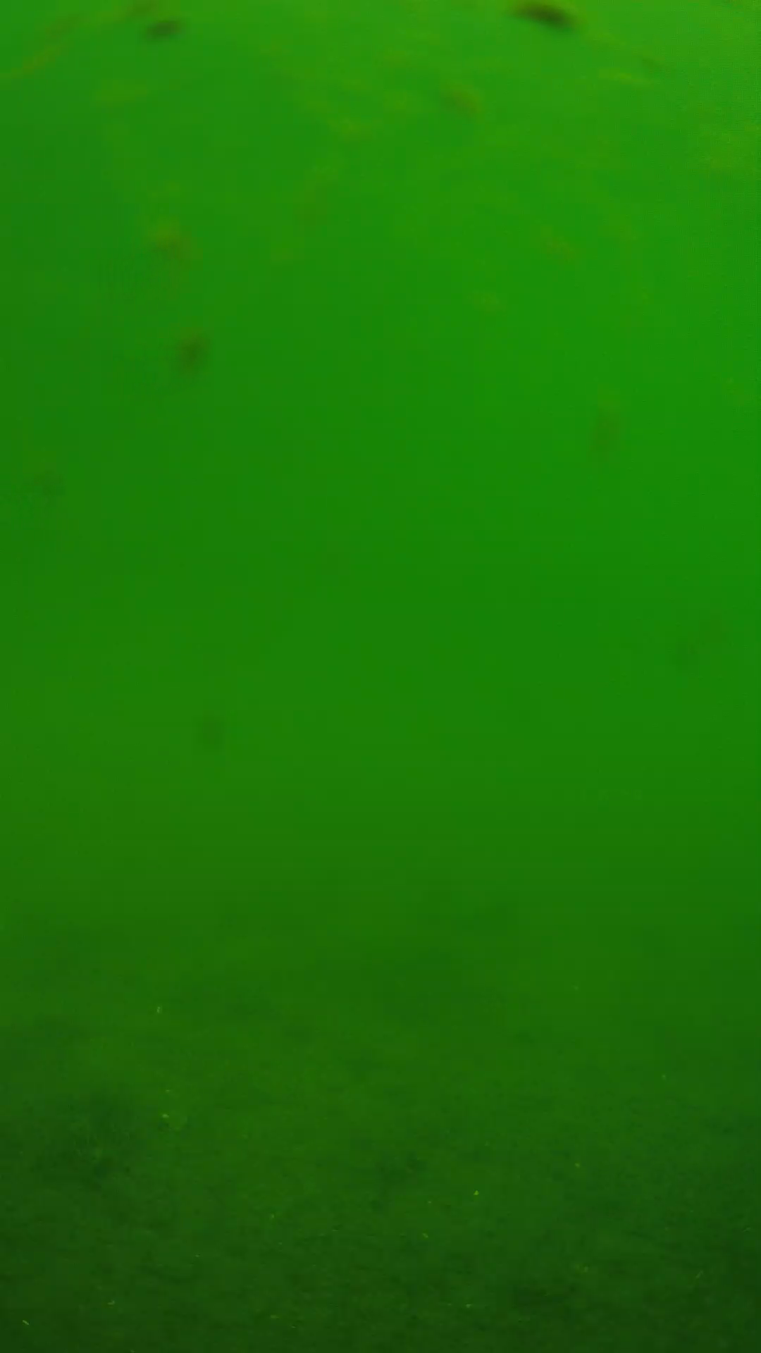 lander_ipcam_20240621103543.png
