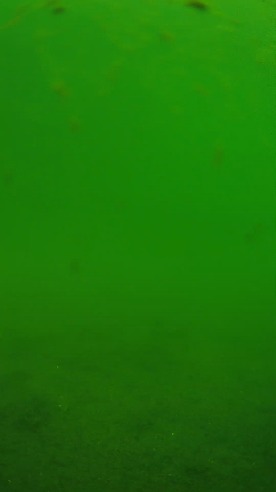 lander_ipcam_20240621103544.png